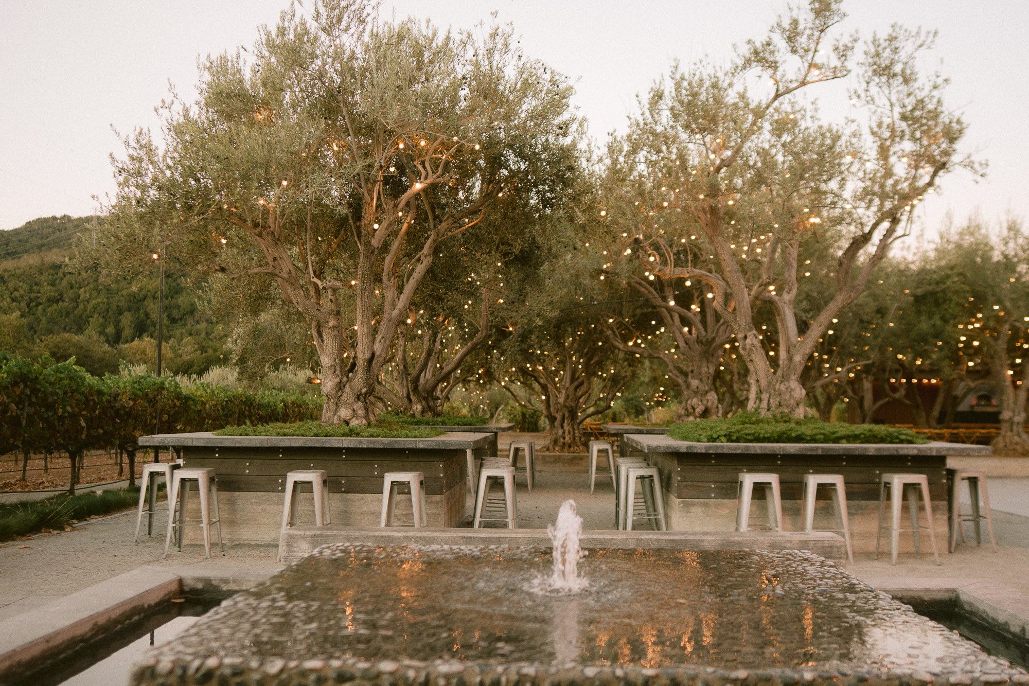 Mohi_Ranch_Indian_Wedding-6.jpg