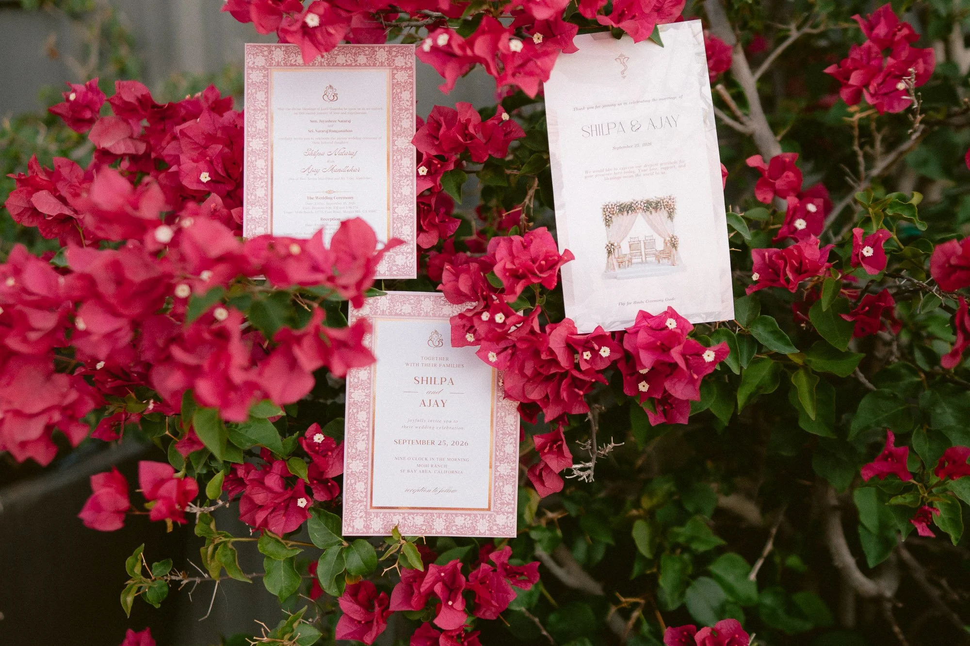 Mohi_Ranch_Indian_Wedding-7.jpg