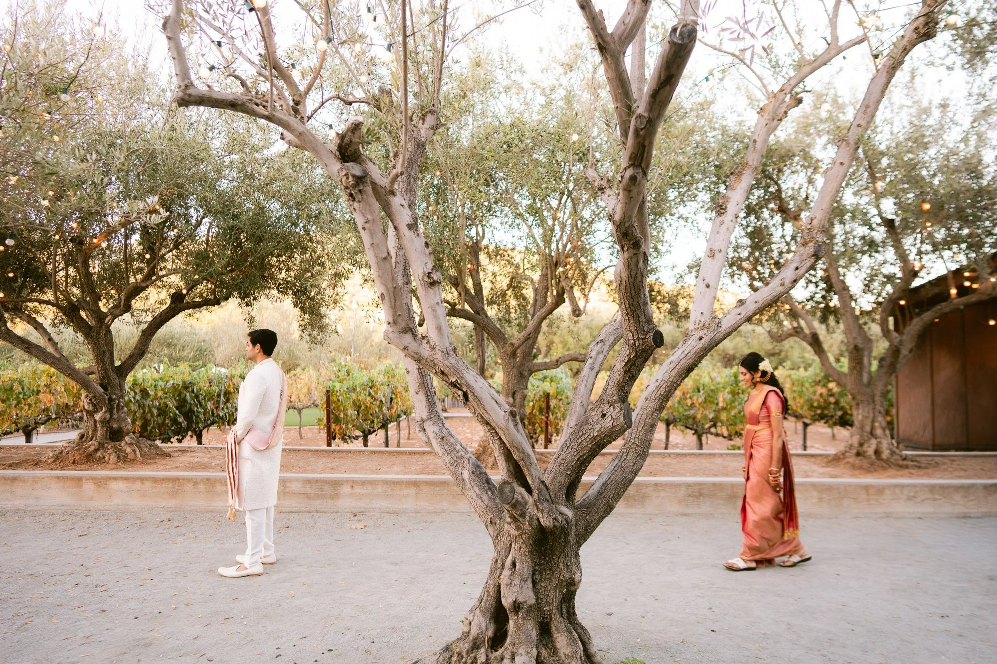 Mohi_Ranch_Indian_Wedding-25.jpg