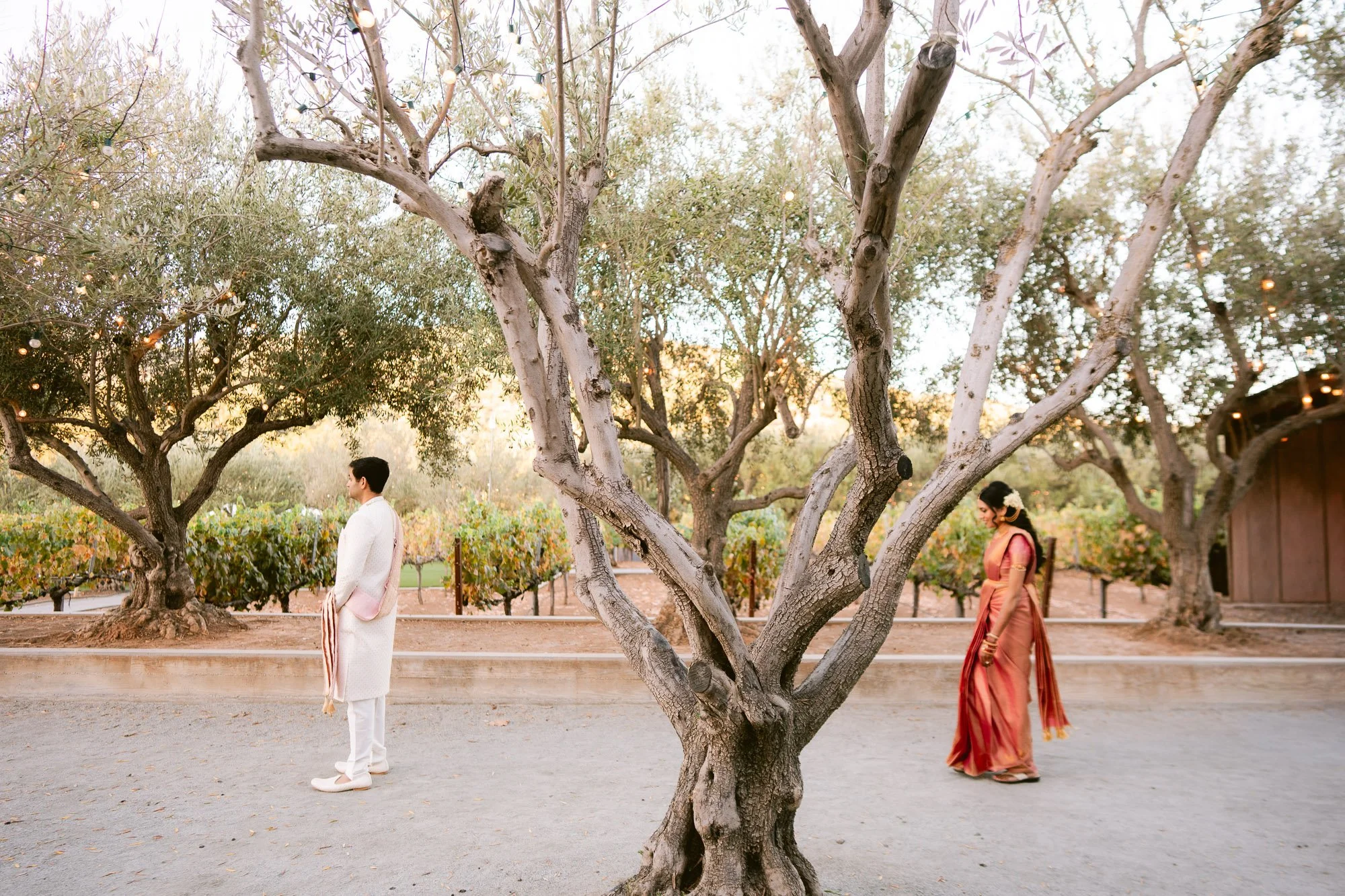Mohi_Ranch_Indian_Wedding-26.jpg