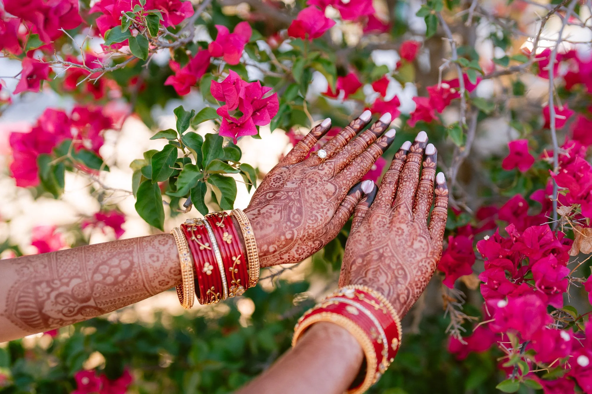 Mohi_Ranch_Indian_Wedding-96.jpg