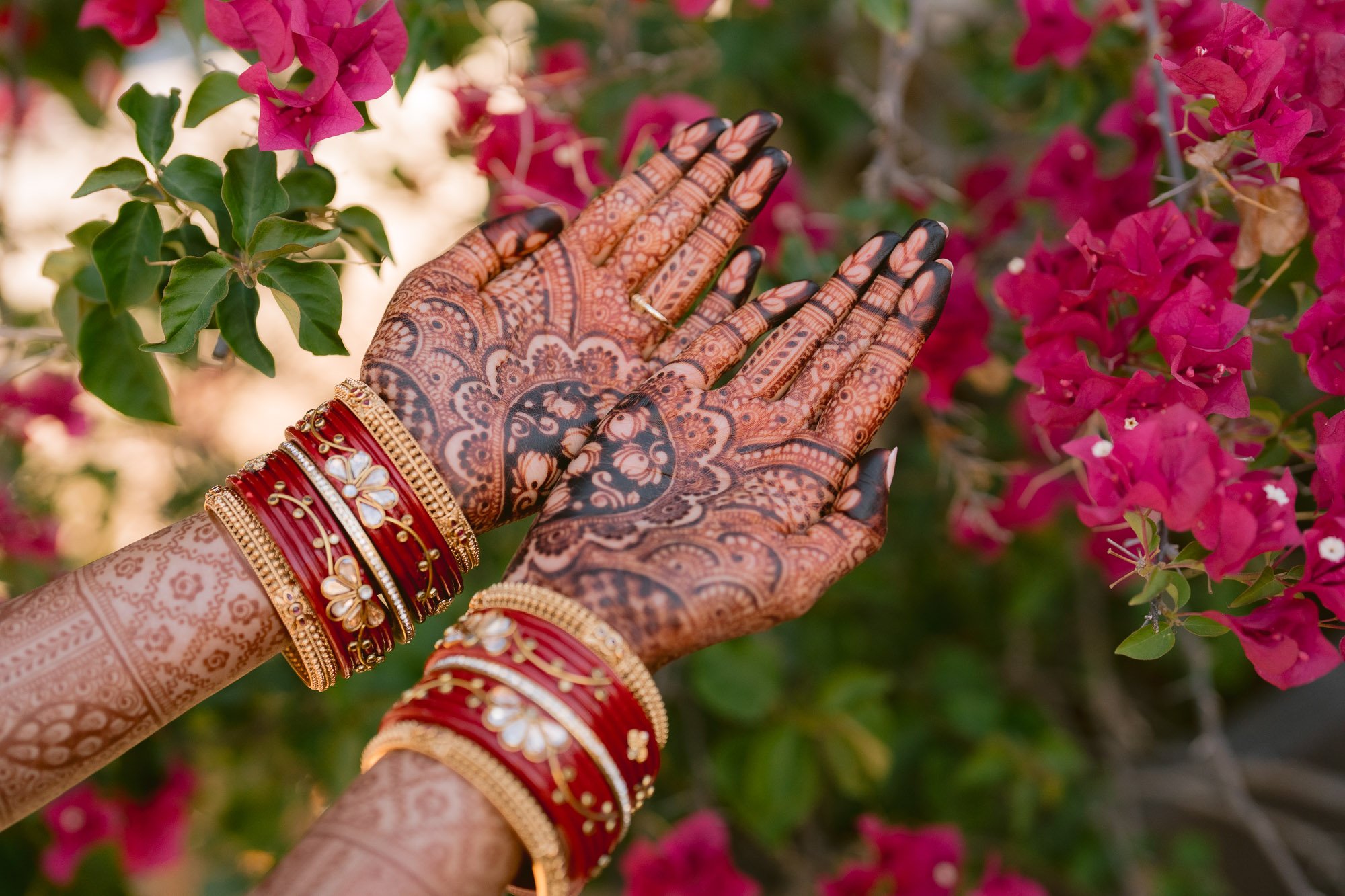 Mohi_Ranch_Indian_Wedding-97.jpg