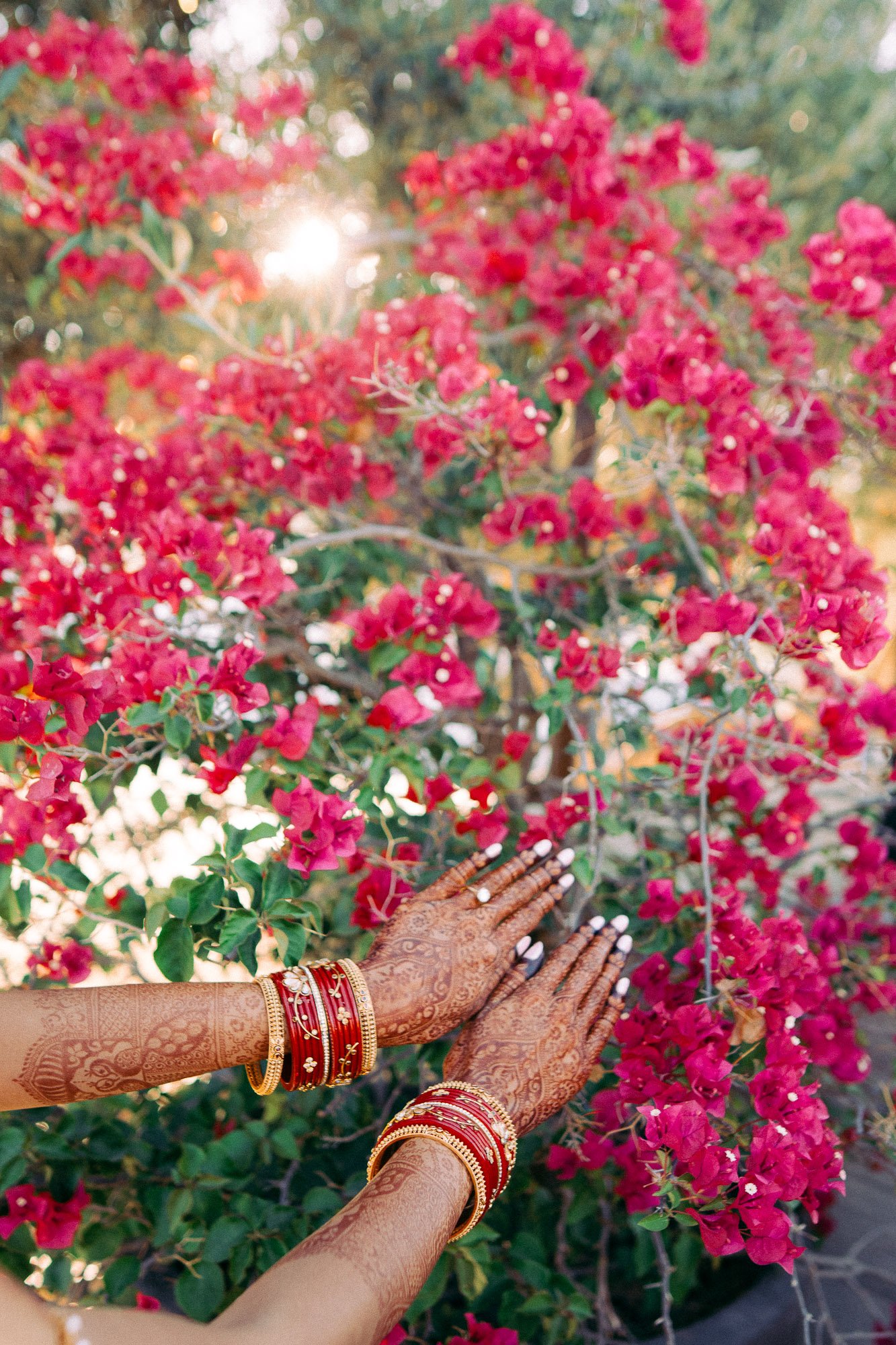 Mohi_Ranch_Indian_Wedding-99.jpg