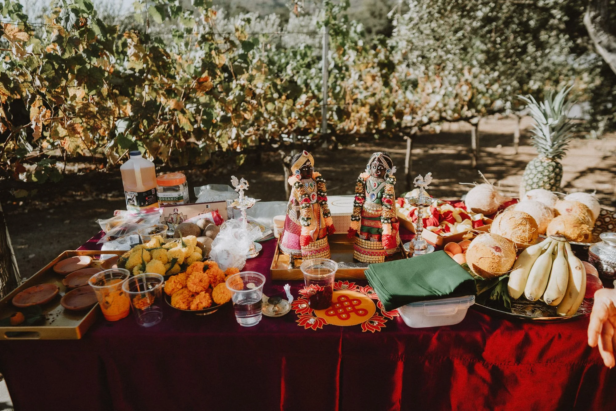 Mohi_Ranch_Indian_Wedding-126.jpg