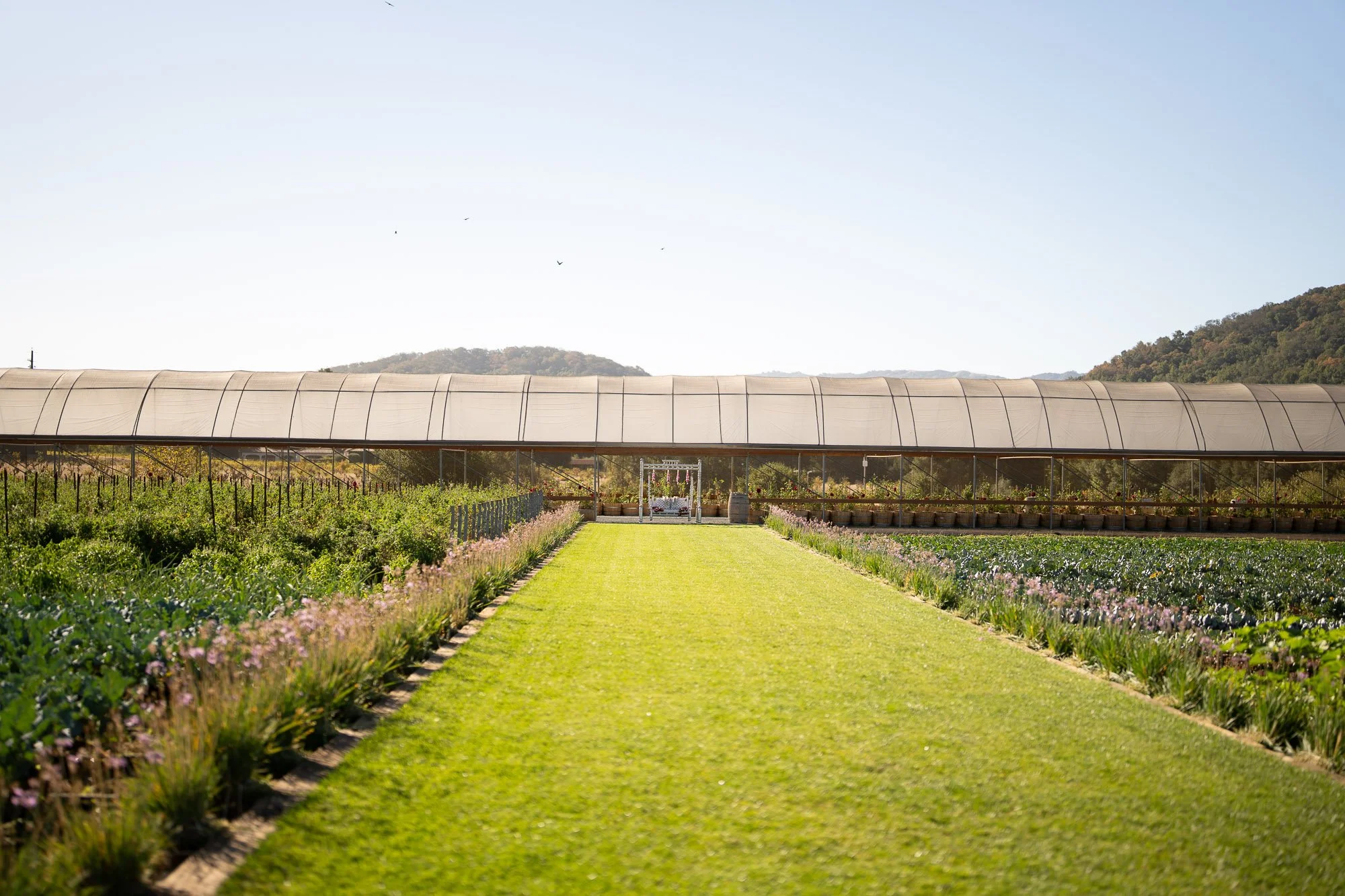 Mohi_Ranch_Indian_Wedding-134.jpg