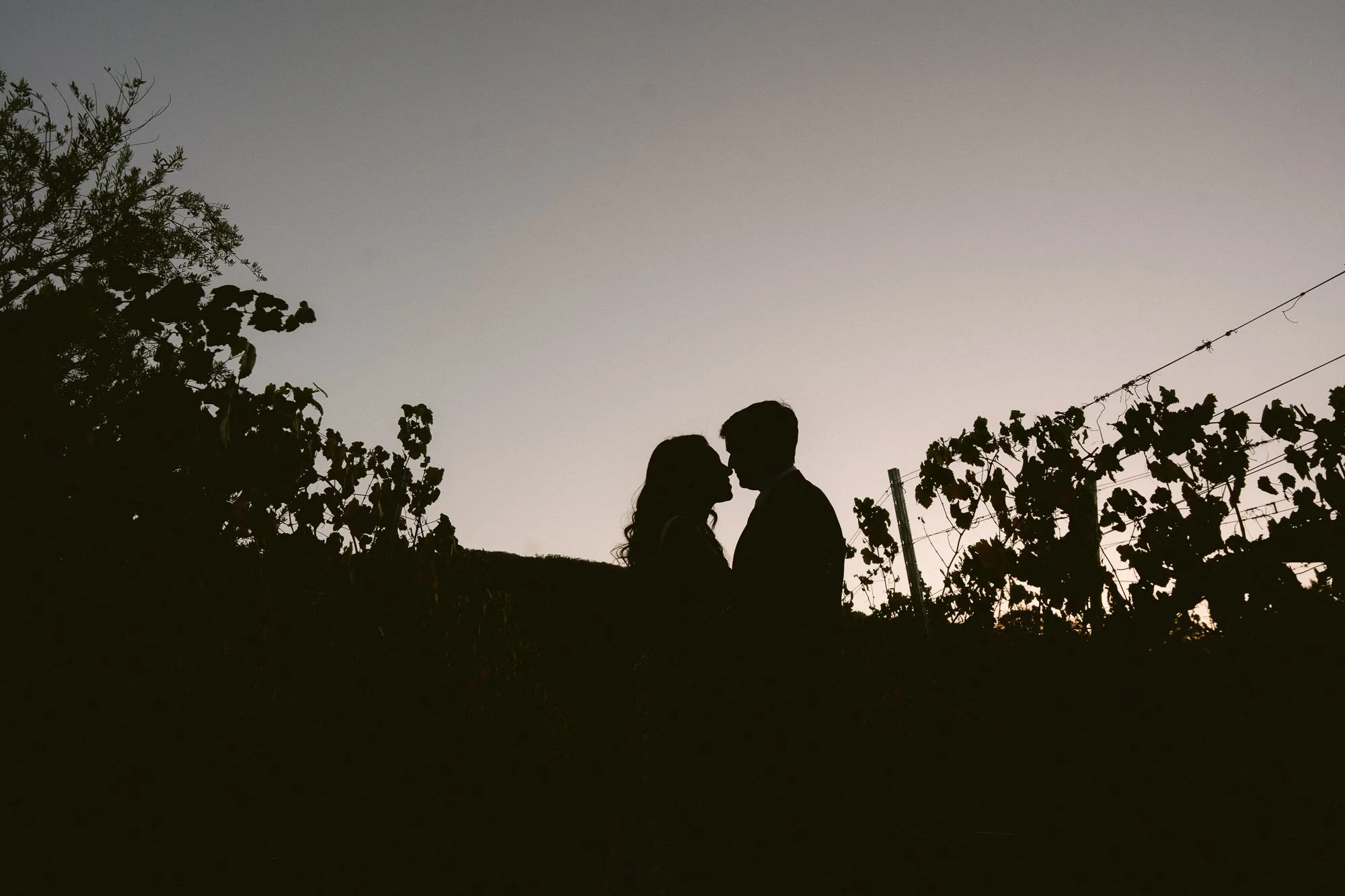 Mohi_Ranch_Indian_Wedding-301.jpg