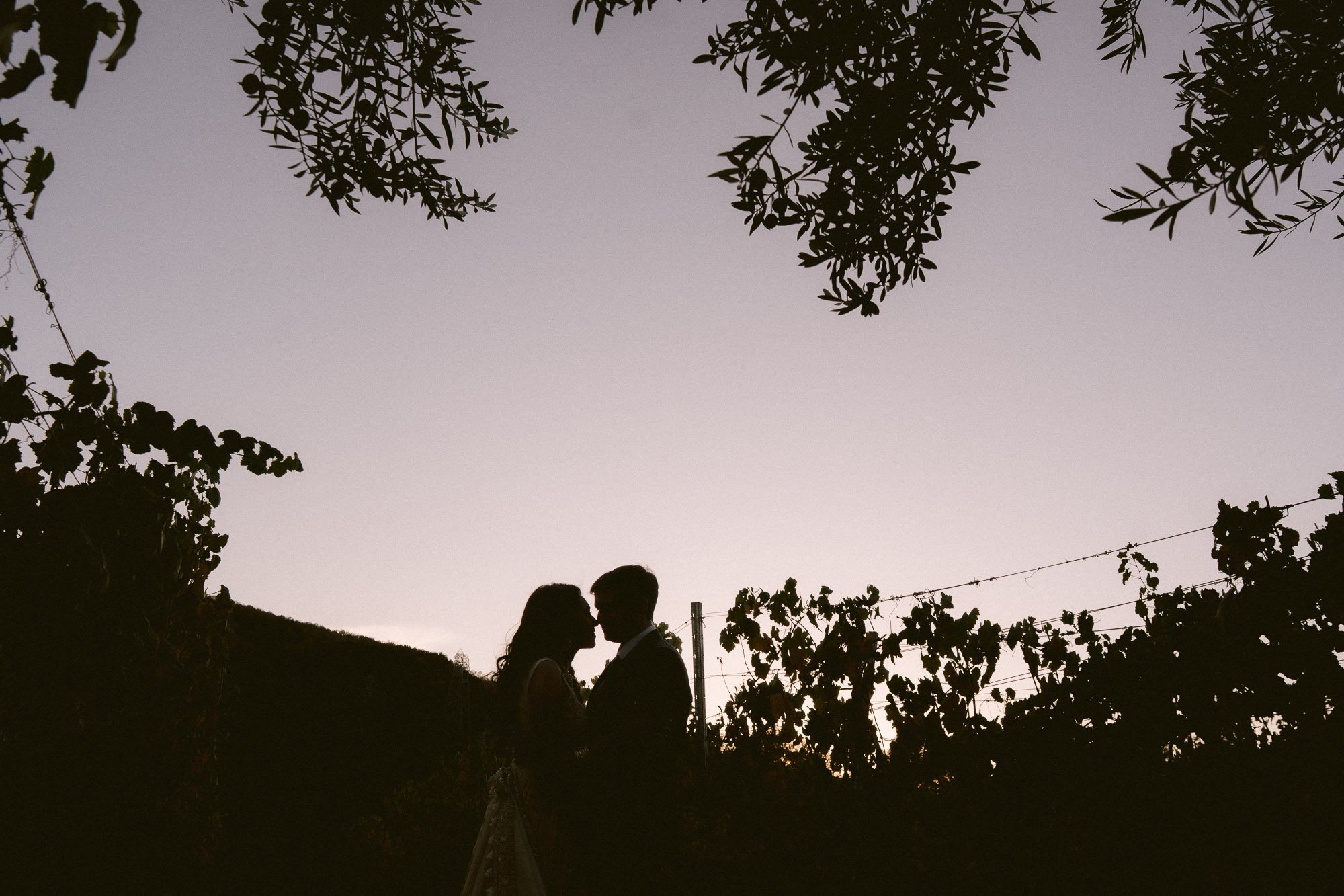 Mohi_Ranch_Indian_Wedding-302.jpg