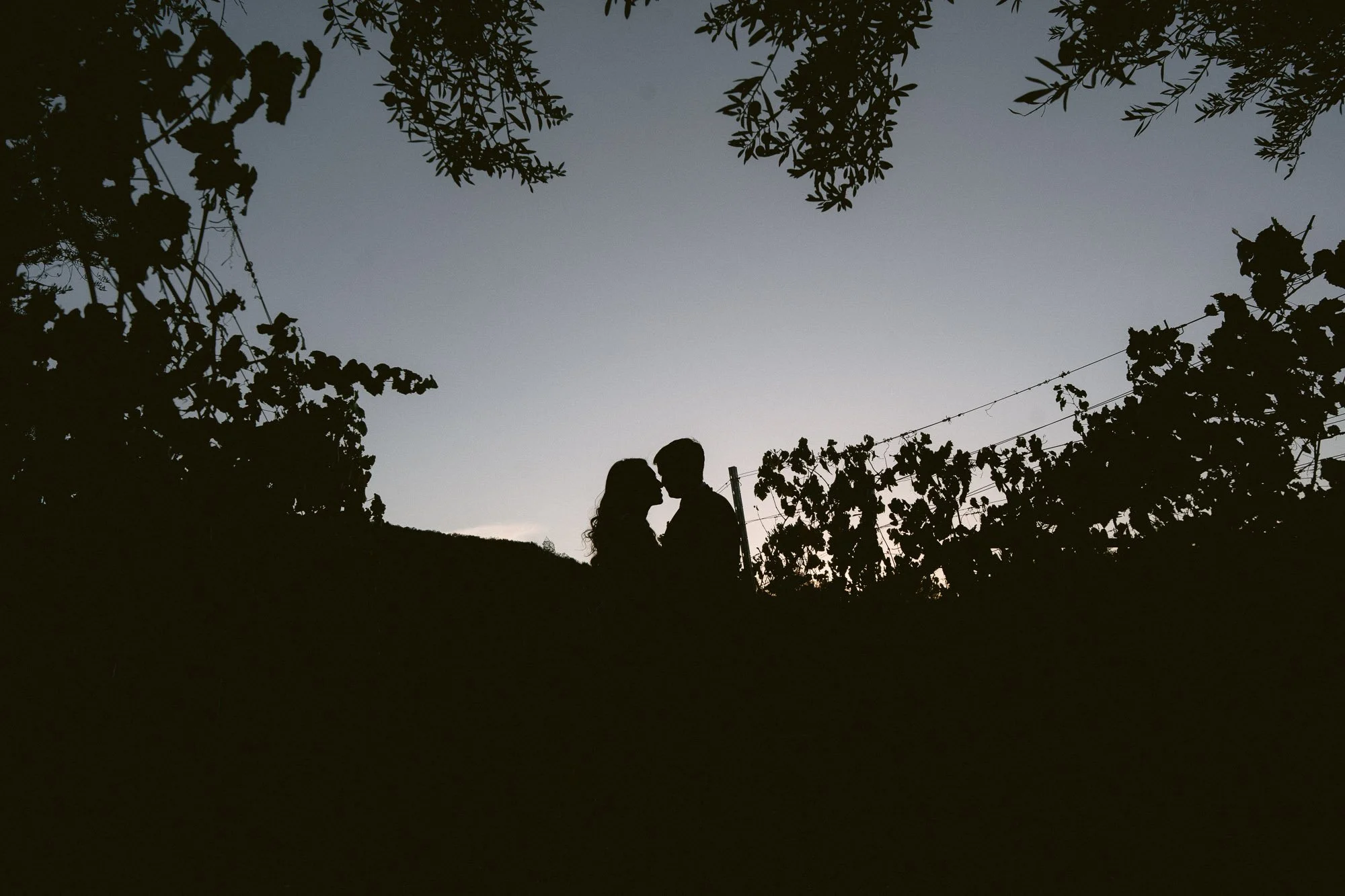 Mohi_Ranch_Indian_Wedding-303.jpg