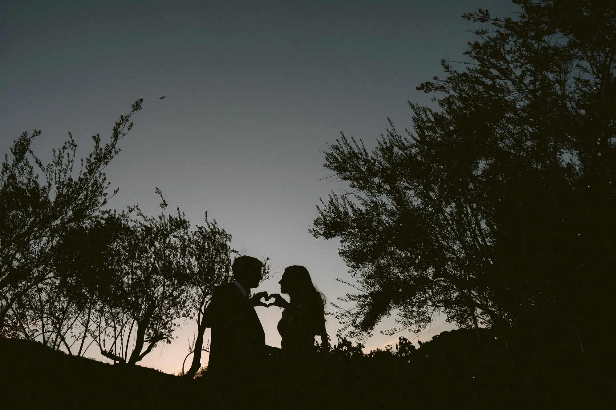 Mohi_Ranch_Indian_Wedding-310.jpg