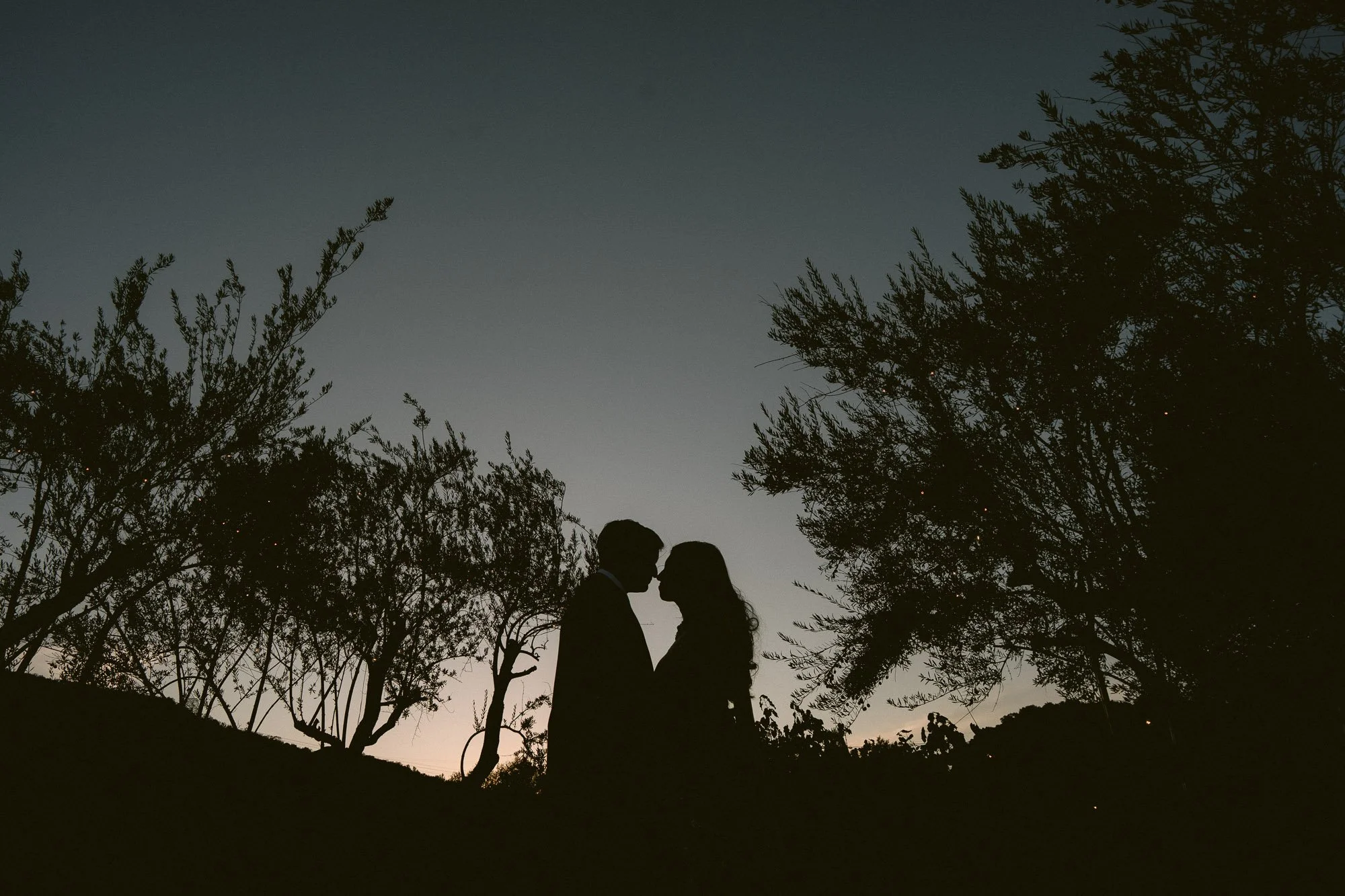 Mohi_Ranch_Indian_Wedding-311.jpg