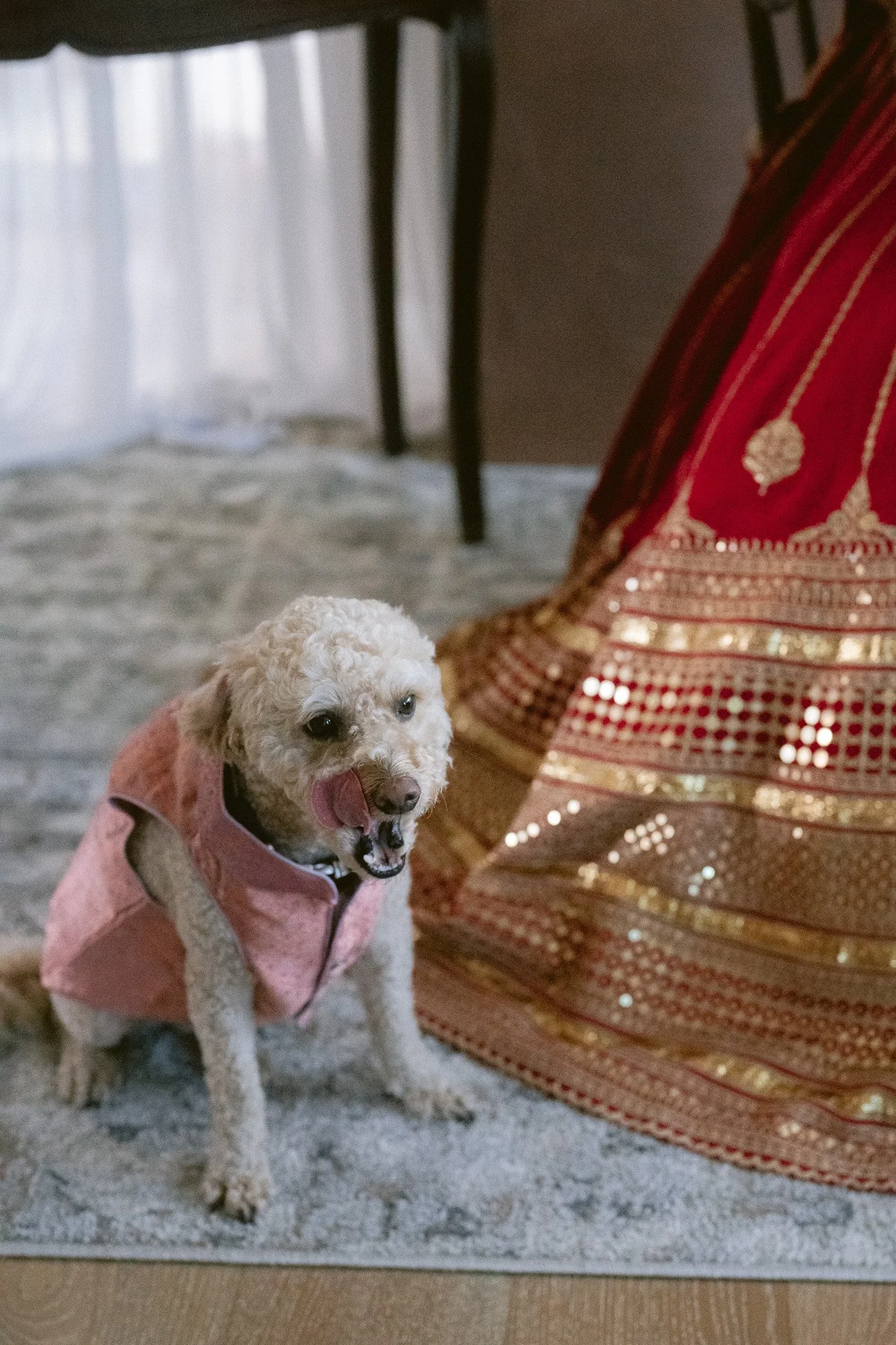 sikh_punjabi_Wedding_Manteca_Fresno_Lodi-172.jpg