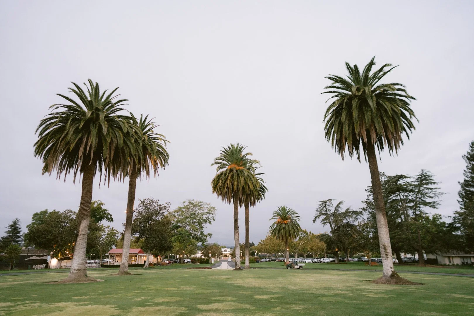 silverado resort_fusionwedding-09357.jpg