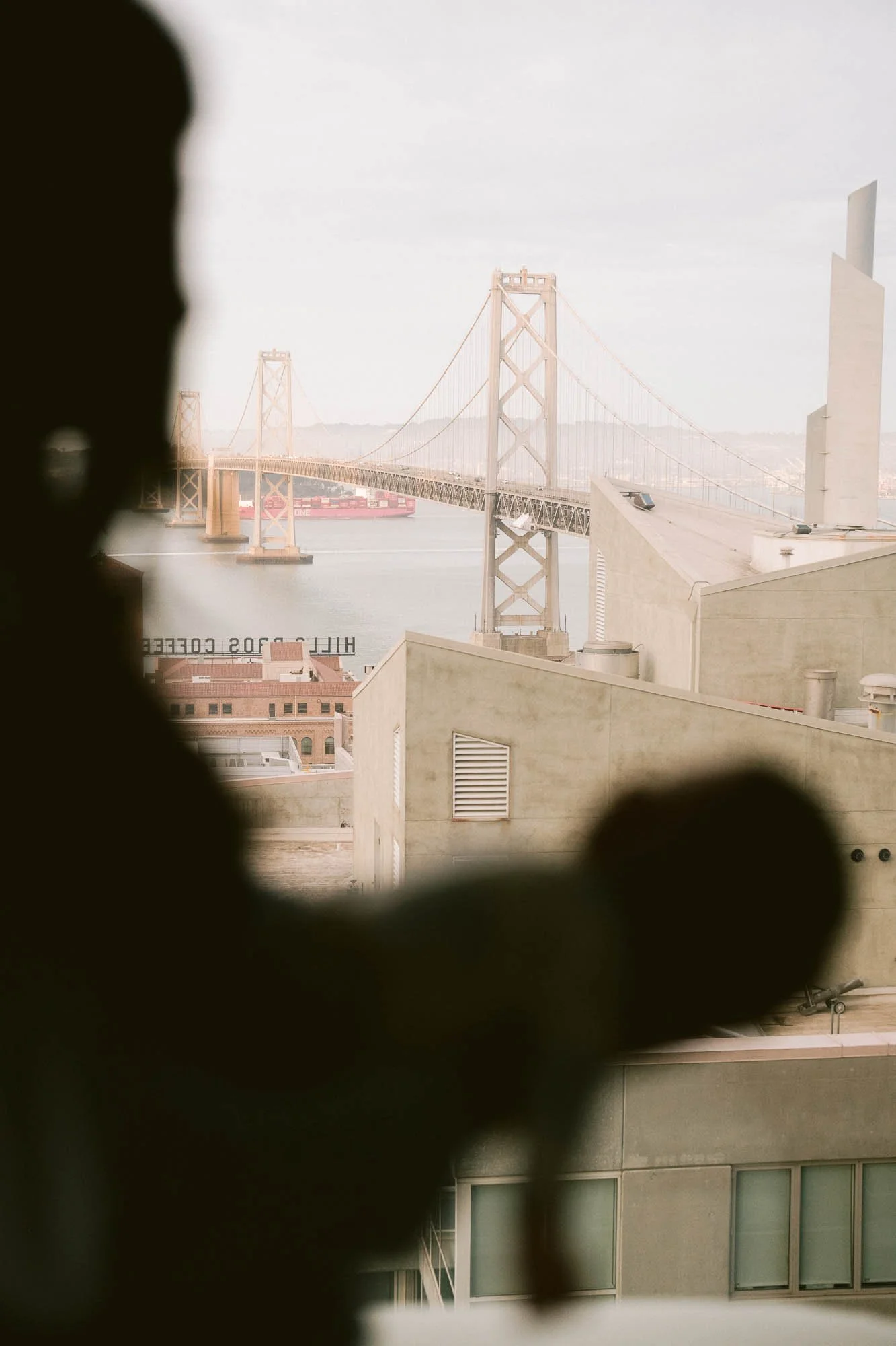 new_born_baby_photoshoot_san_francisco-52.jpg