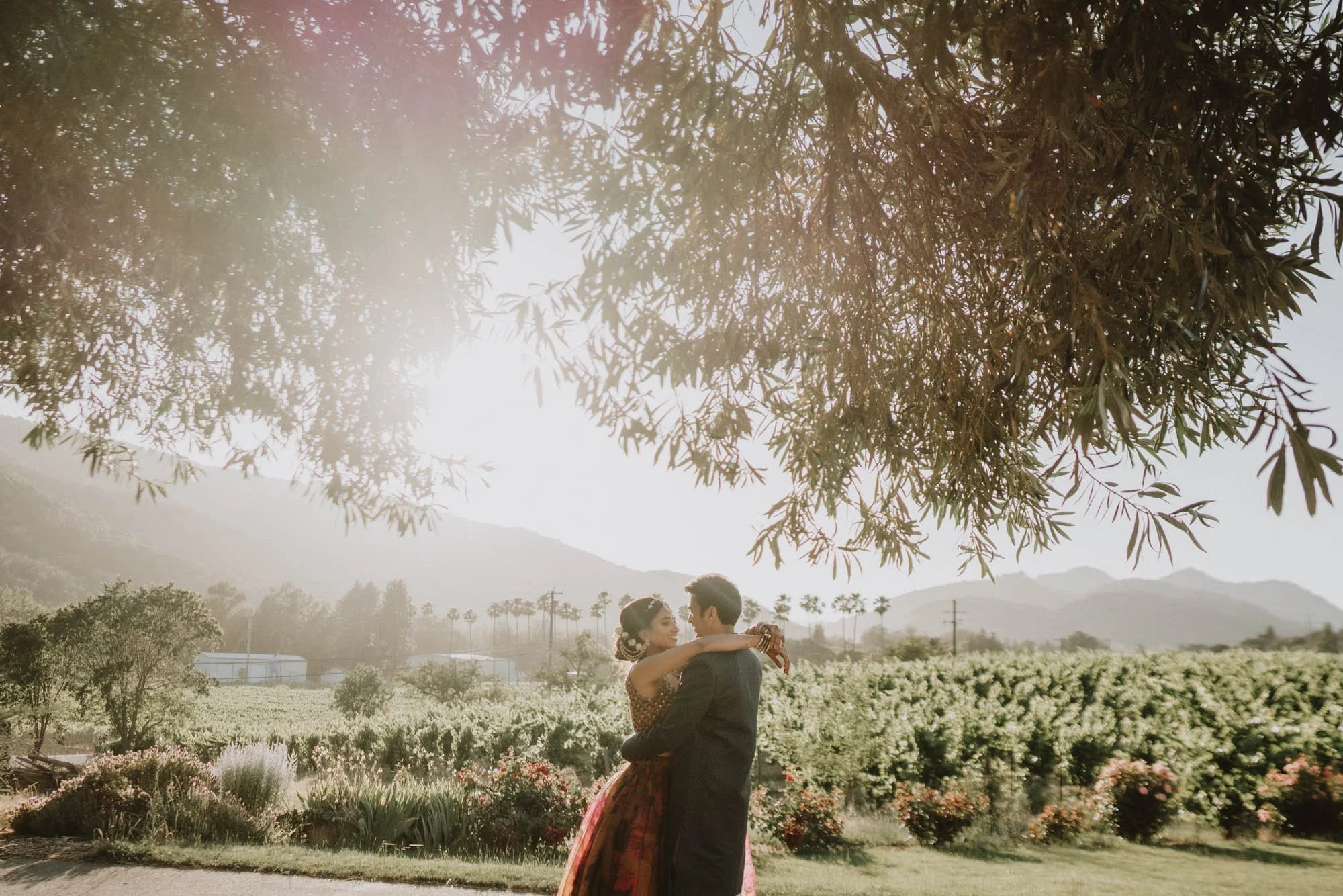 Kirgin_Cellars_Wedding-302.jpg
