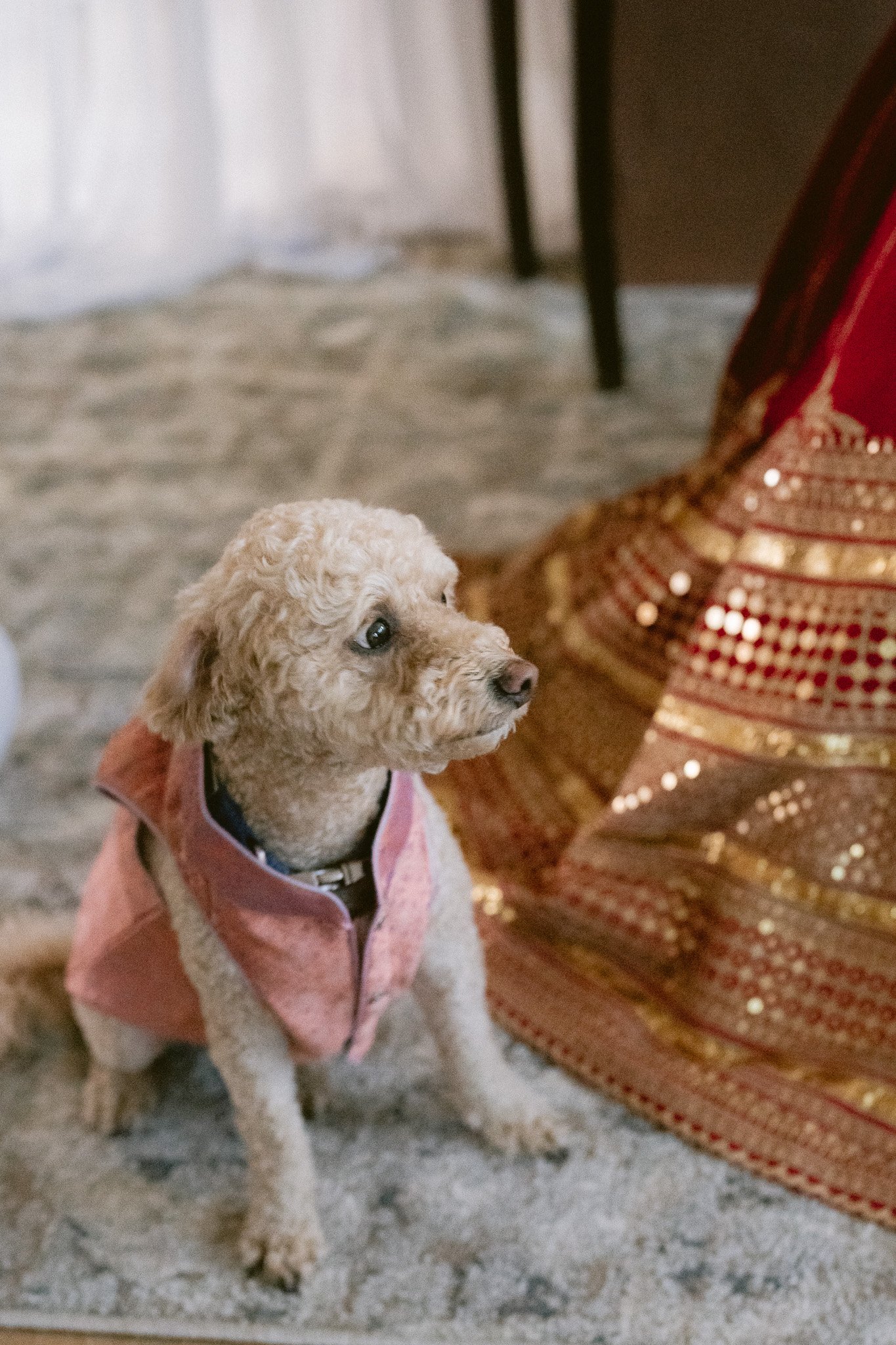 sikh_punjabi_Wedding_Manteca_Fresno_Lodi-171.jpg