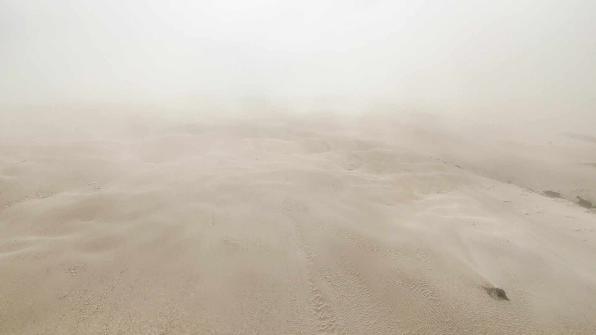 Pismo_Sand_Dunes_Photoshoot-25.jpg