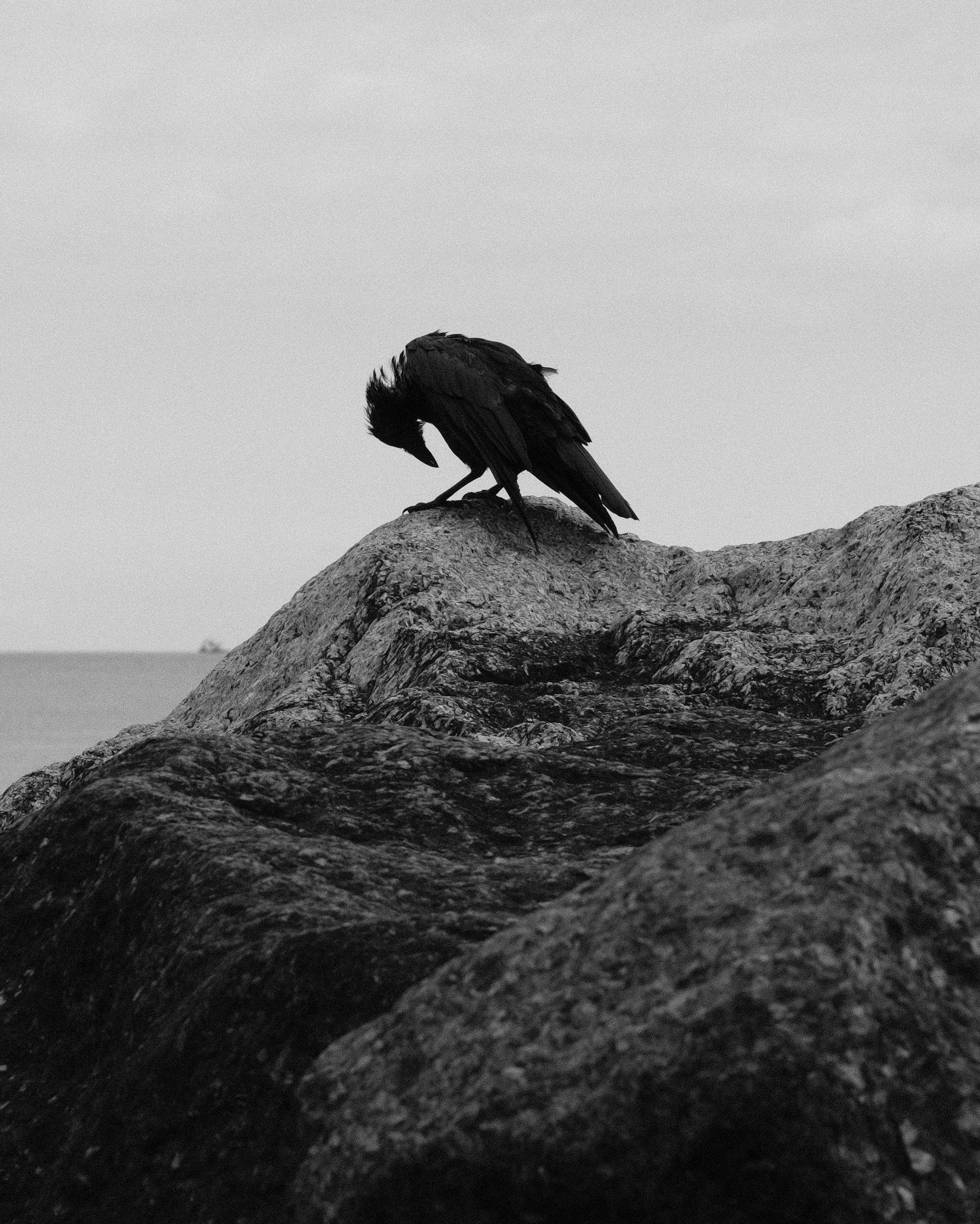 DSCF3053-2.jpg