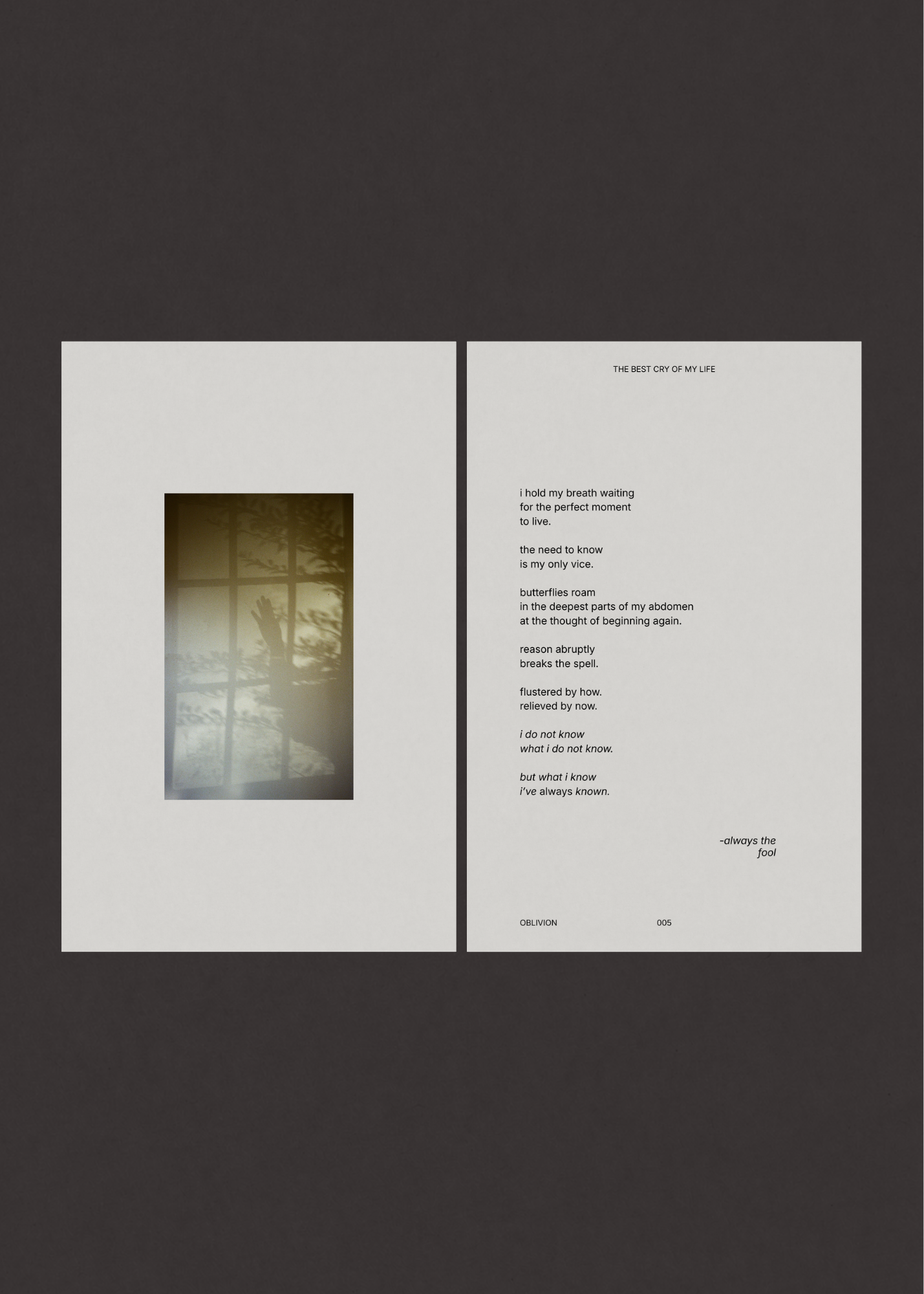 zine mockup-7.png