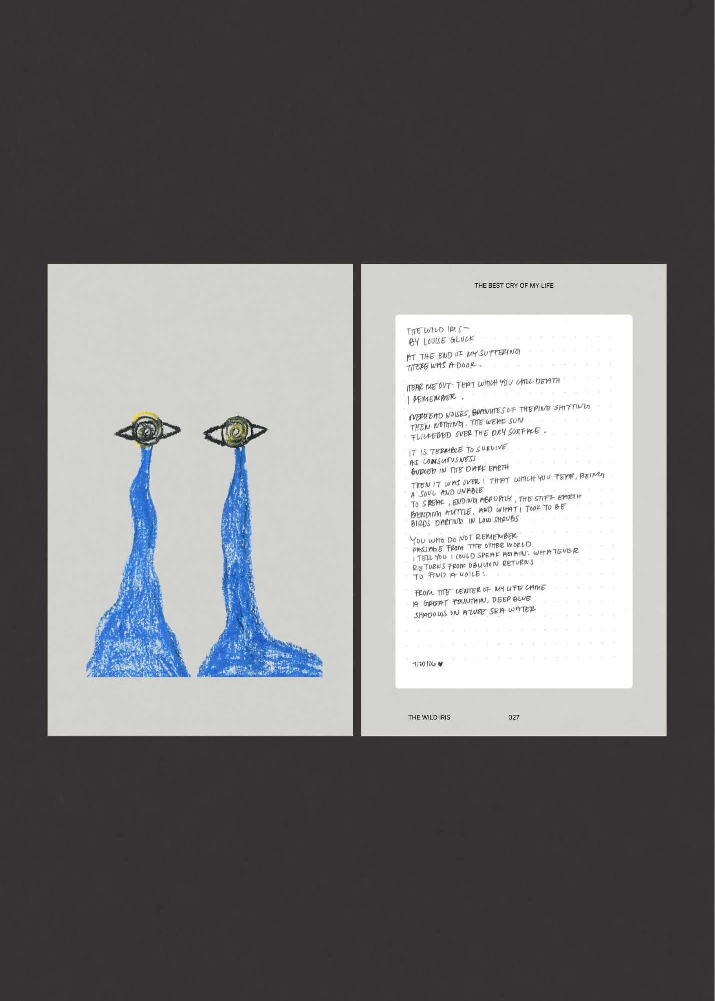 zine mockup-6.png
