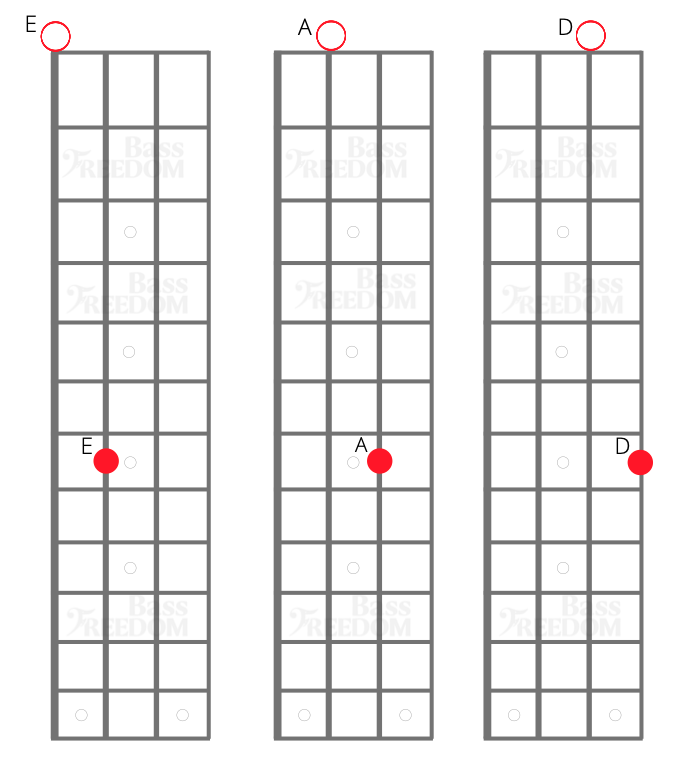 Bass Line Creation Level 1: Roots + Octave Shapes — Bass Freedom