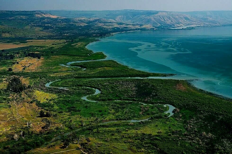 BRO— DO YOU EVEN TORAH?