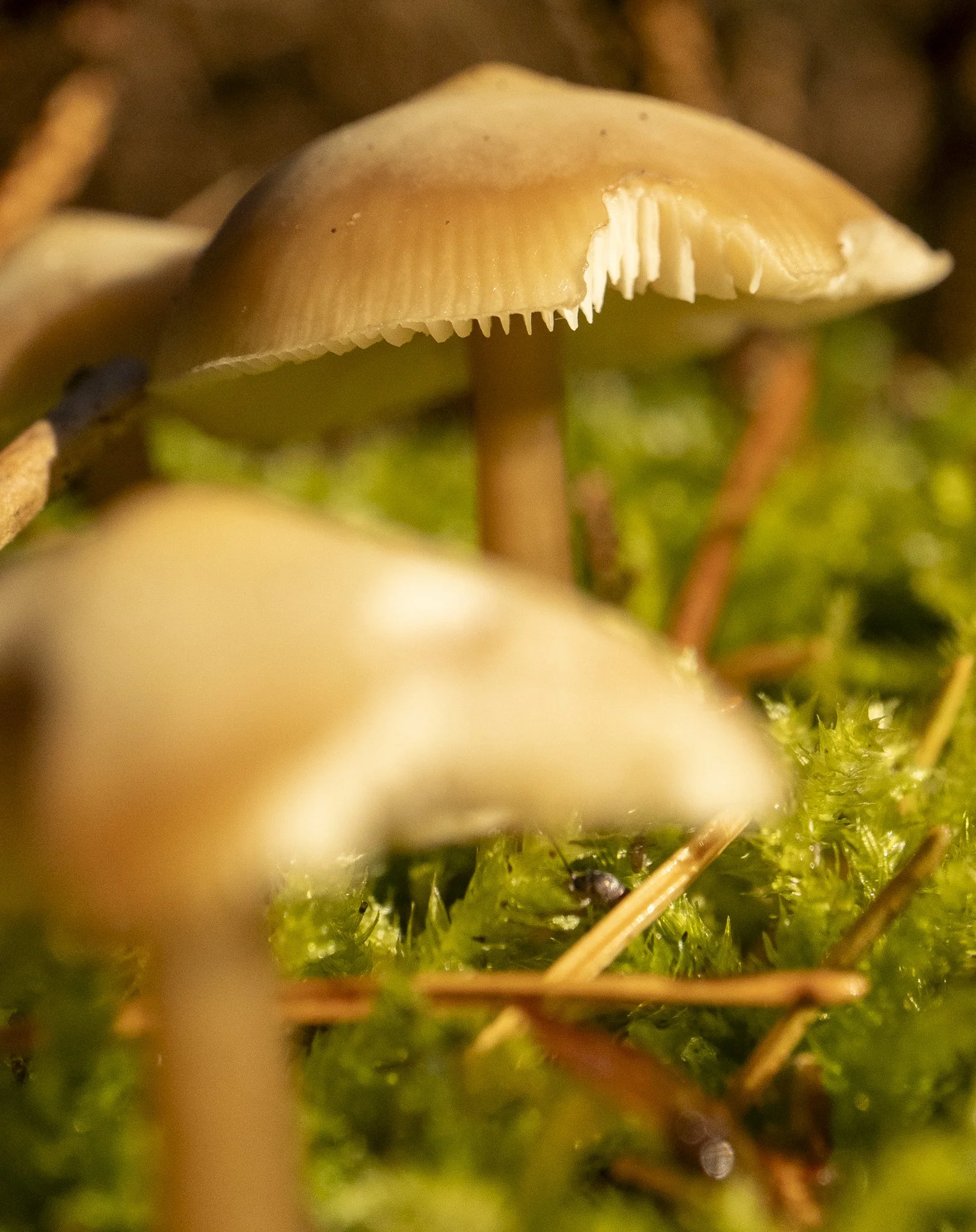 Binning Wood Oct 24_56.jpg