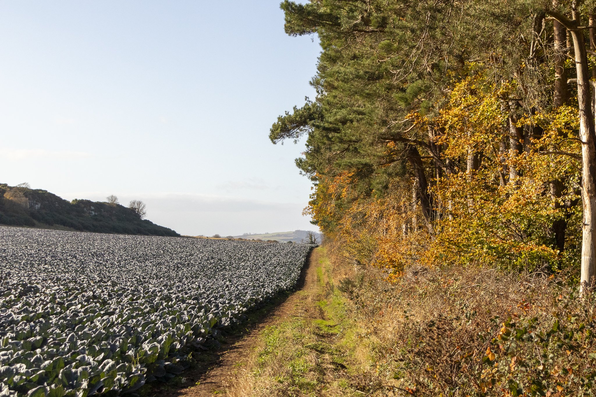 Binning Wood Oct 24_140.jpg