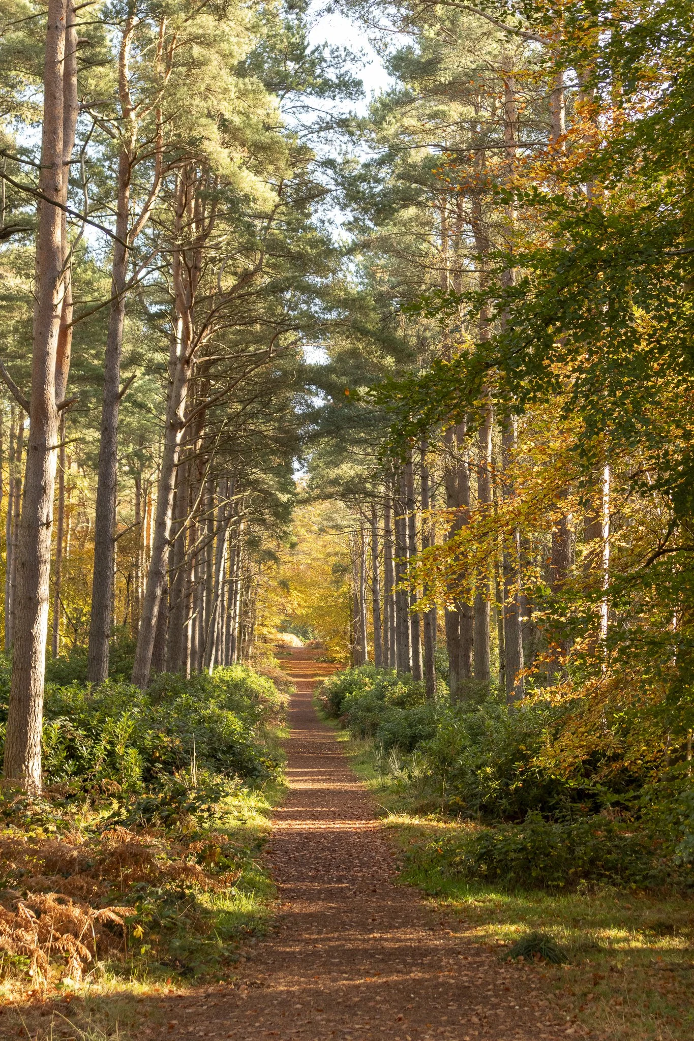 Binning Wood Oct 24_114.jpg
