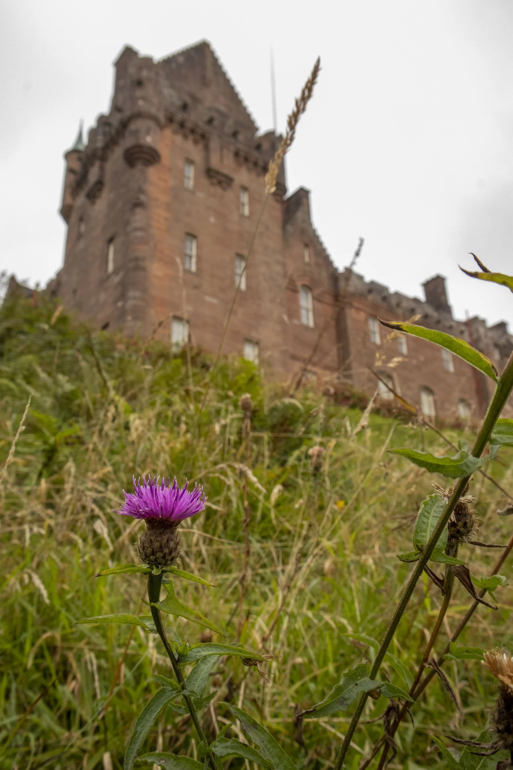 Arran (16 of 36).jpg