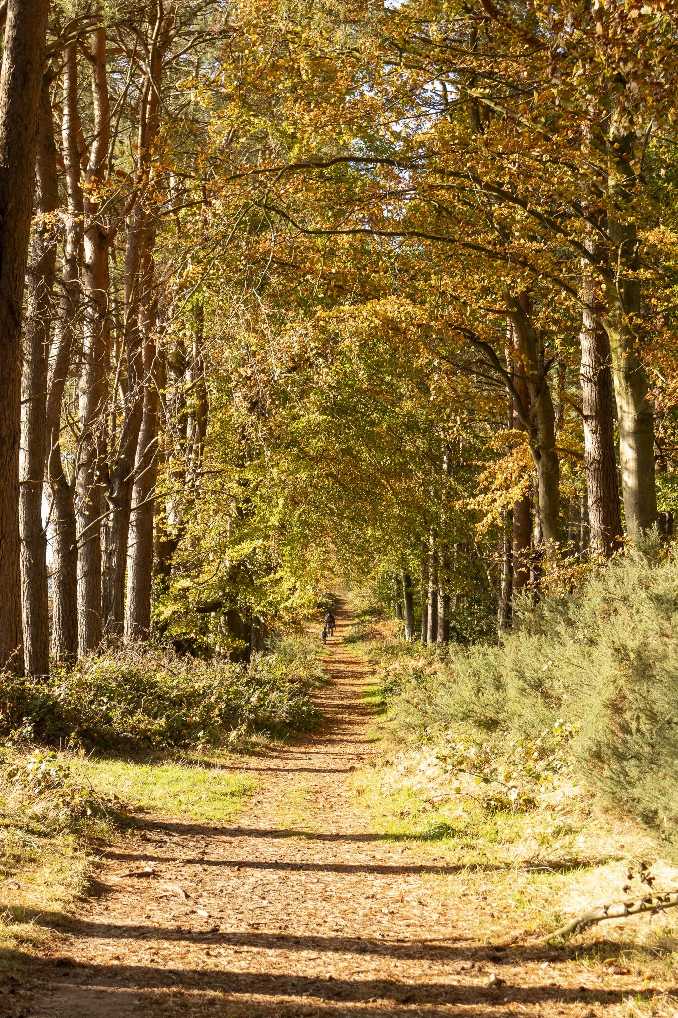 Binning Wood Oct 24_138.jpg