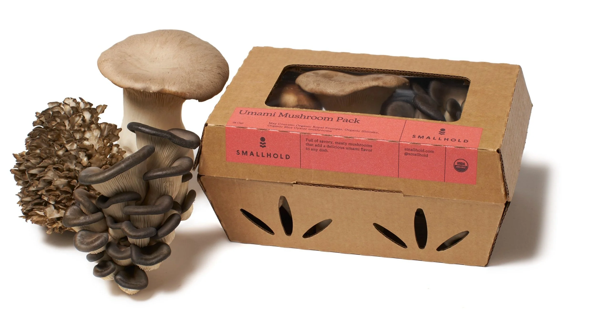 Mushrooms — Smallhold