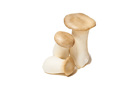 Royal Trumpet Mushrooms(aka Pleurotus eryngii, King Oyster)
