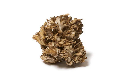 Maitake Mushrooms(aka Hen of the Wood)