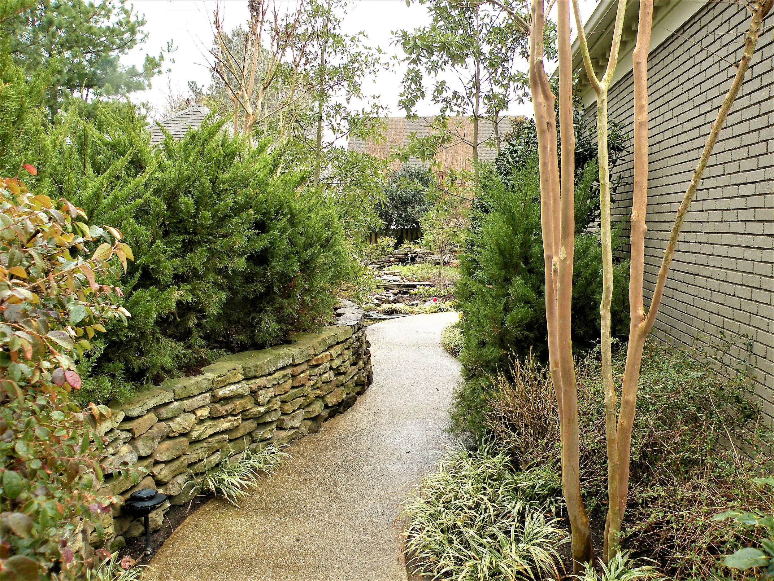 safety download of all pics taken to date 114.jpg