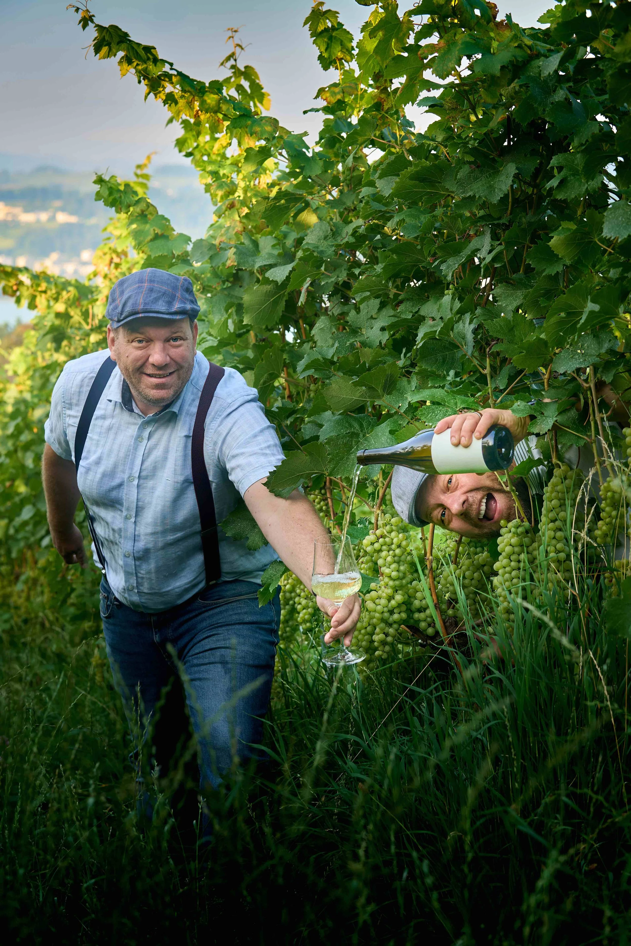 Offene Weinkeller 2026