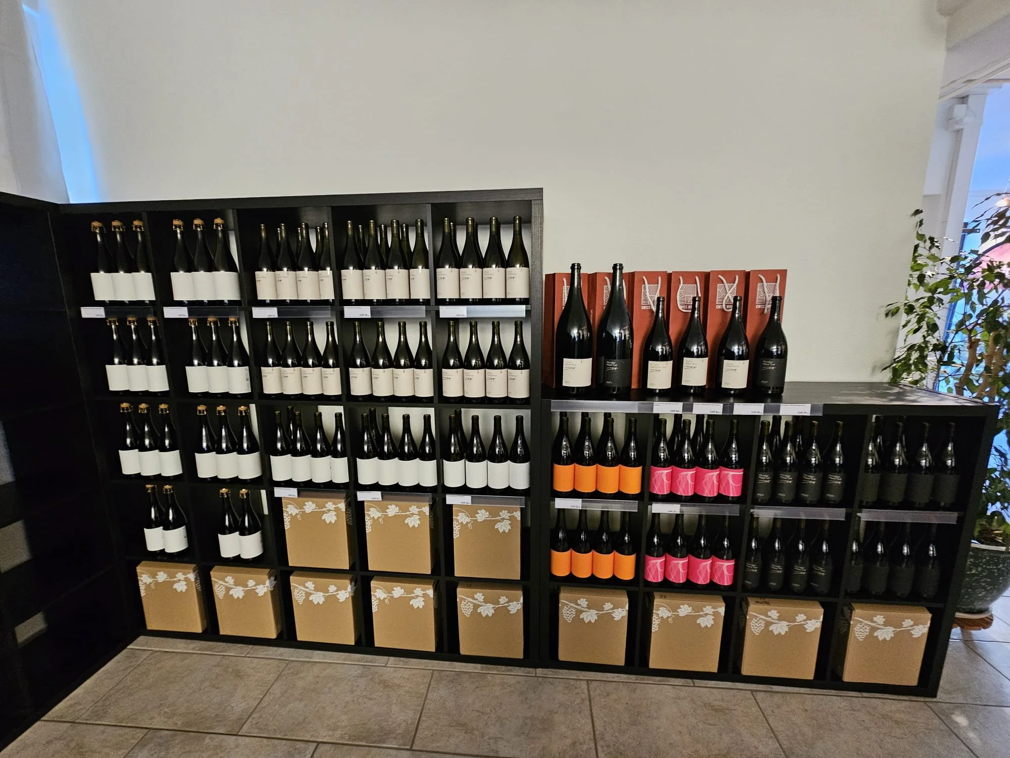 Degustation bei K+K Wine Artists