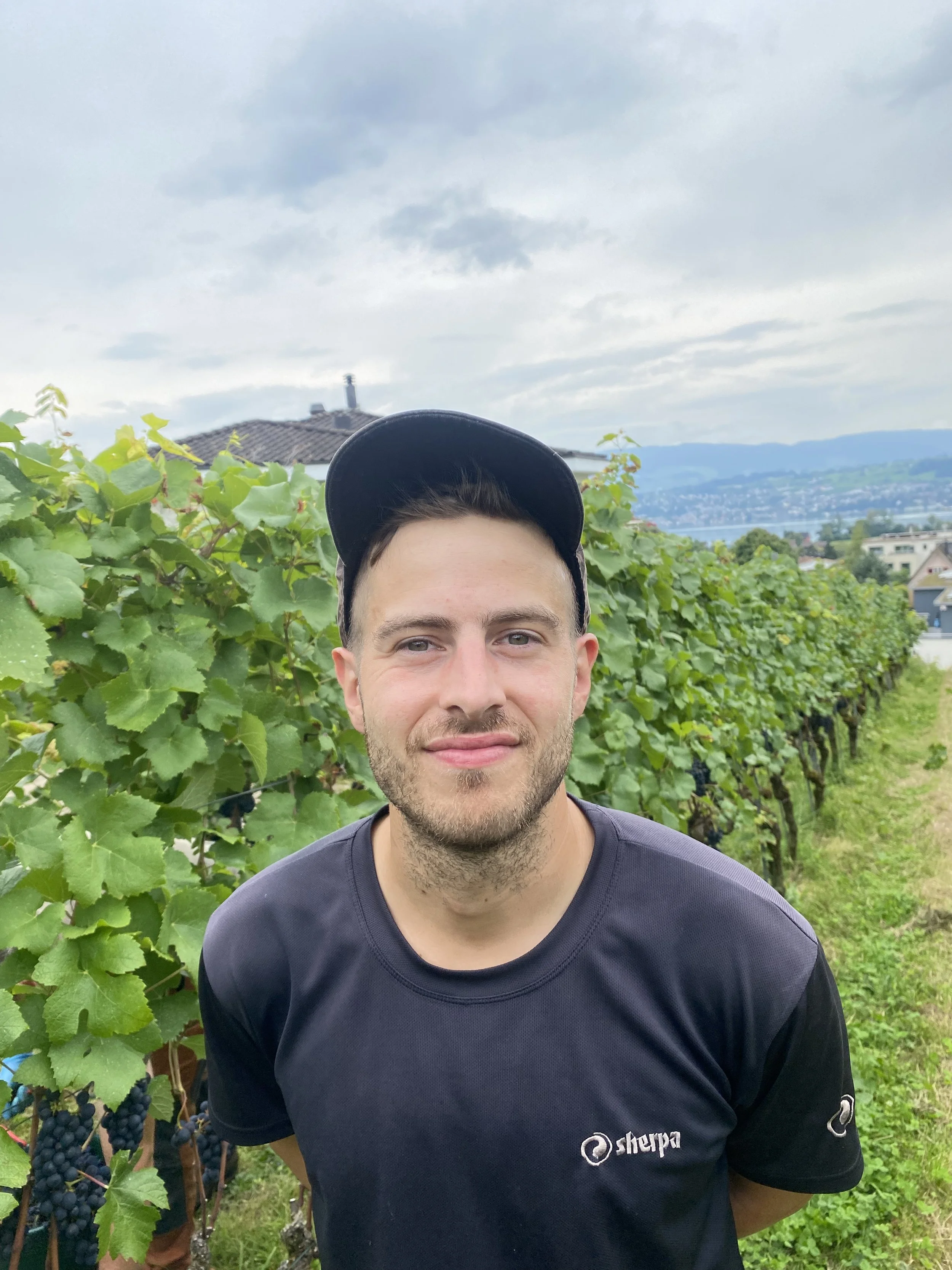 Junger Mann steht in einem Weinberg, trägt ein schwarzes T-Shirt mit dem Logo 'shepa' und eine schwarze Kappe, im Hintergrund sind Weinreben, Häuser und Berge bei bewölktem Himmel sichtbar.