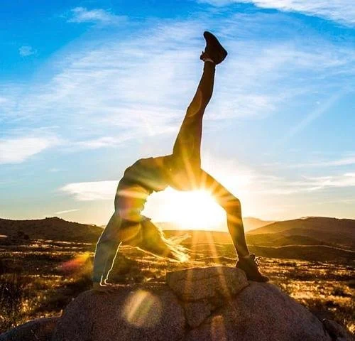 Nervous System Reset