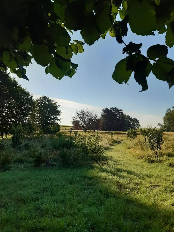 Paysage nature préservée domaine Soleslune Solesmes Nord