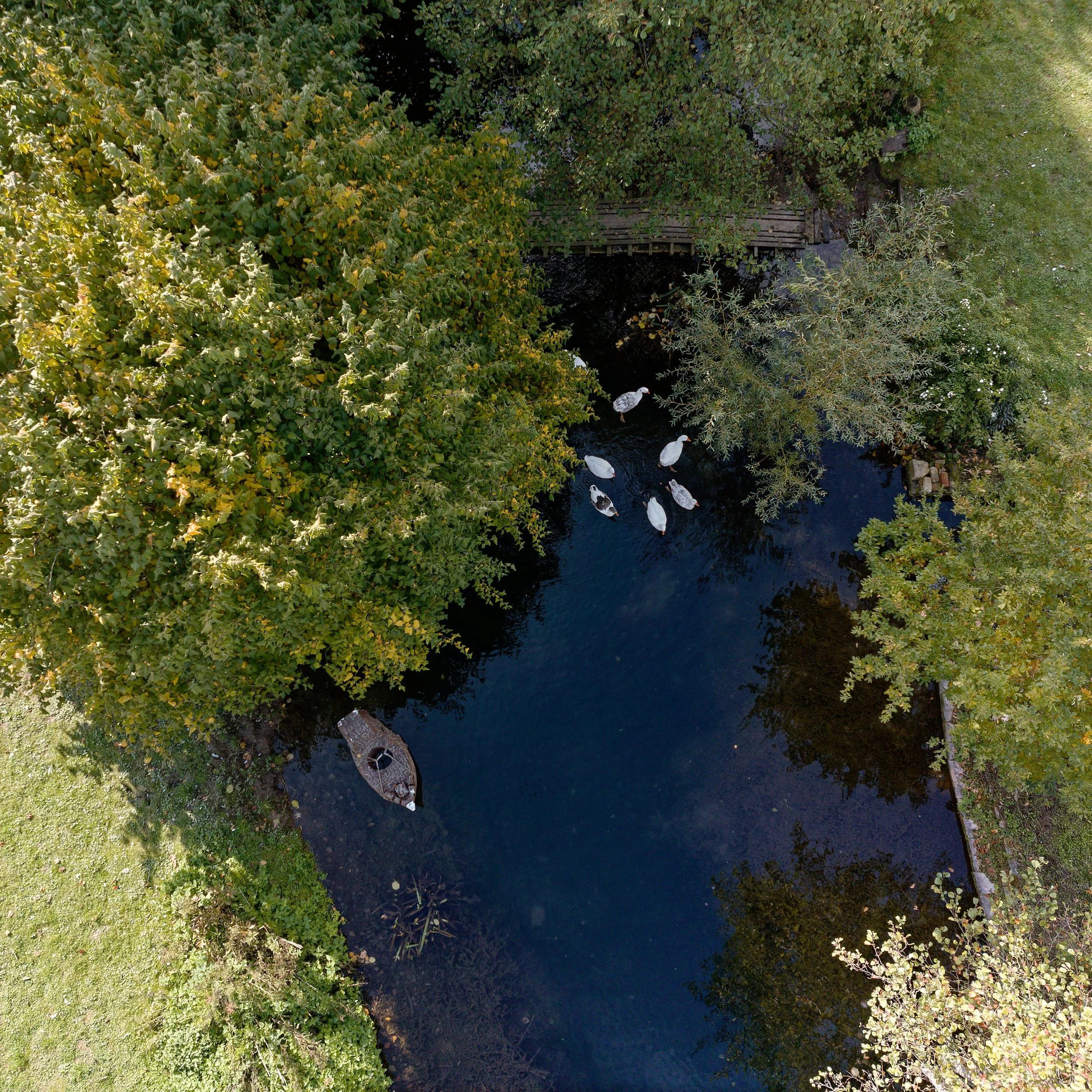 Vue aérienne rivière et sous-bois Moulin Cardon Solesmes