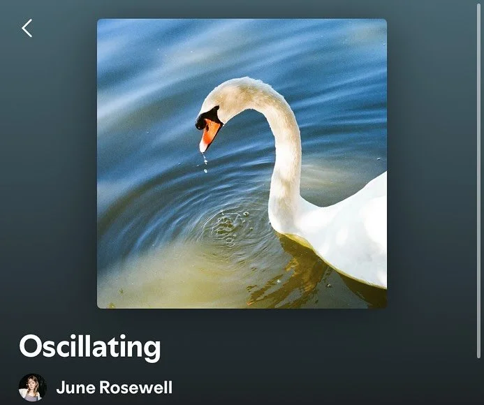 Out Today: Oscillating (LP) by @junerosewellhaha /// some songs produced and mixed by me /// asst engineered by @jeddeye77 /// I&rsquo;m so proud of this record and seeing June become a world traveler and trusting me with such awesome tracks. The son