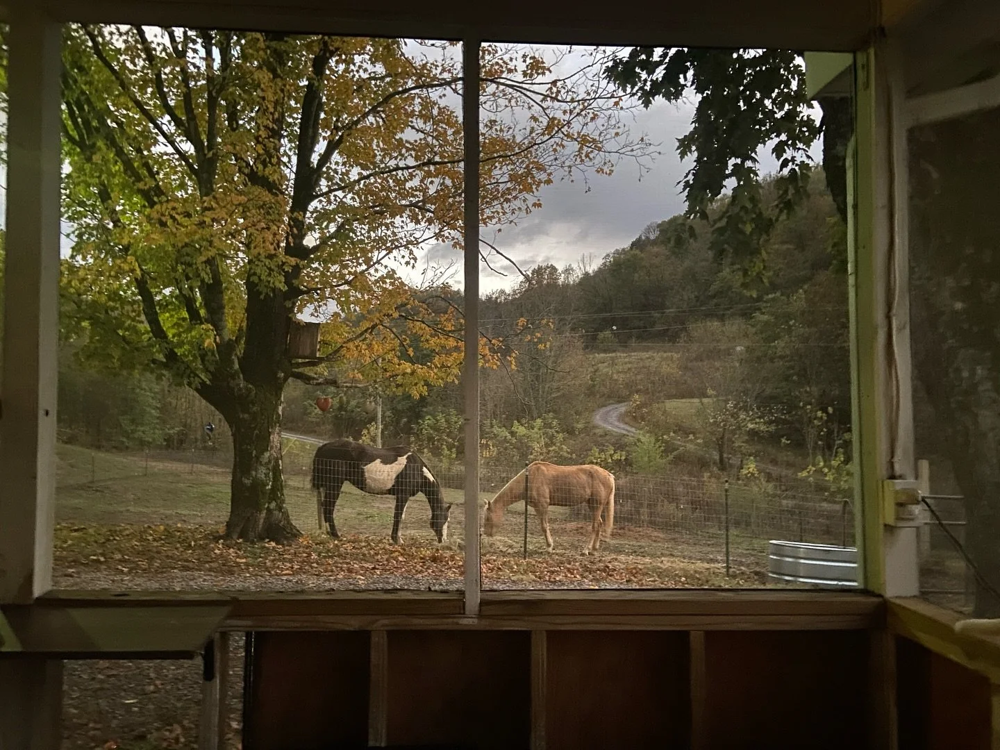 fall time @ the ranch