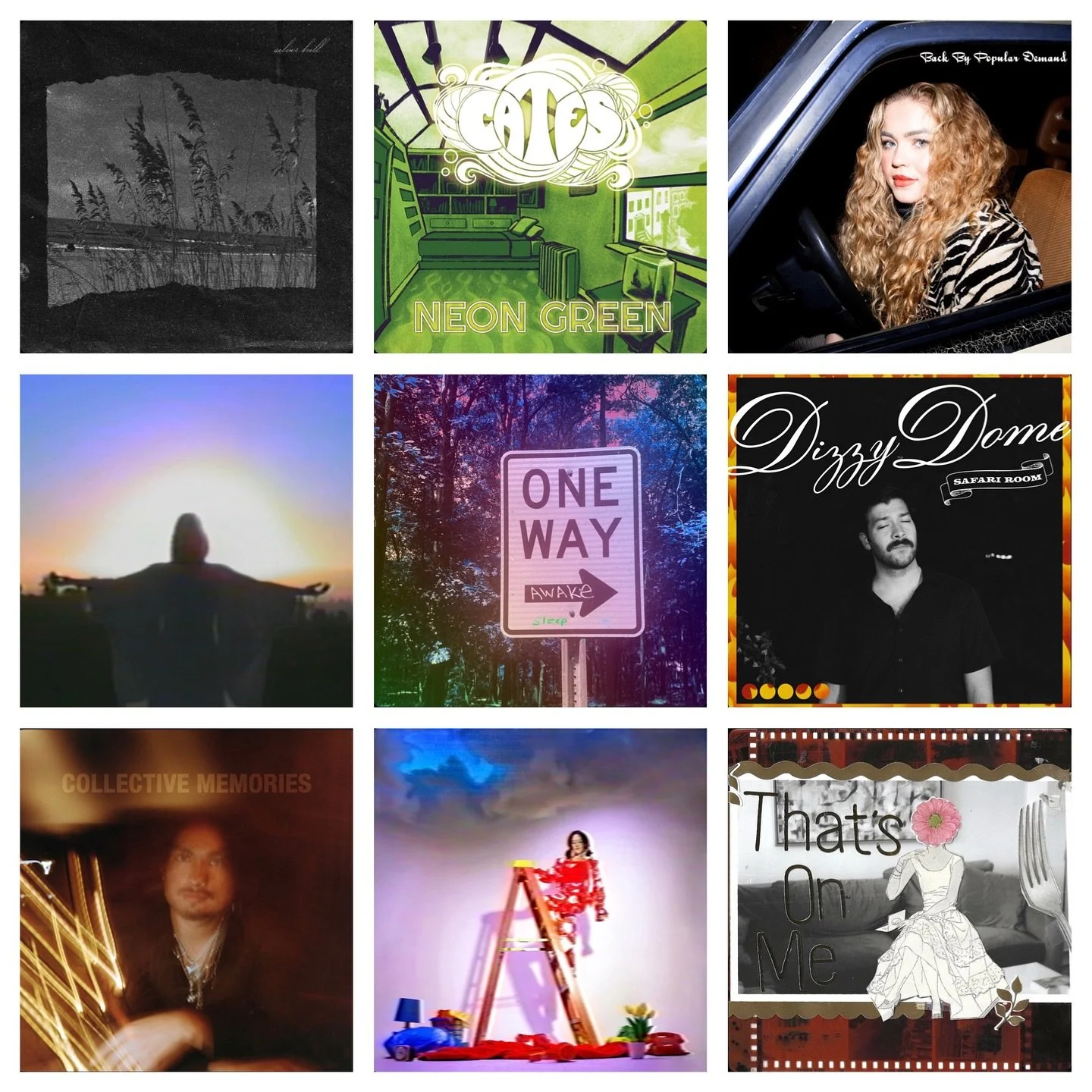 2025 in a nutshell. Worked on twice this much but this is what was released this year. I feel honored, fortunate and lucky to get to make records with some amazing people. Life is short. Love people, love animals, make art.