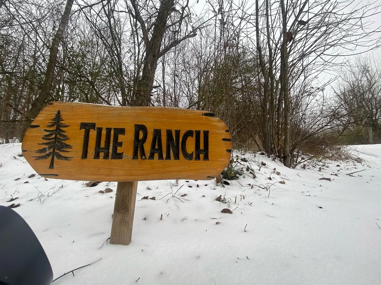 Hi everyone. Thank you for checking on us out here in the holler. We have power &amp; heat and hungry pets. Everyone is safe up here. I&rsquo;m taking this time to learn  Cowgirl Clue songs on the pedal steel