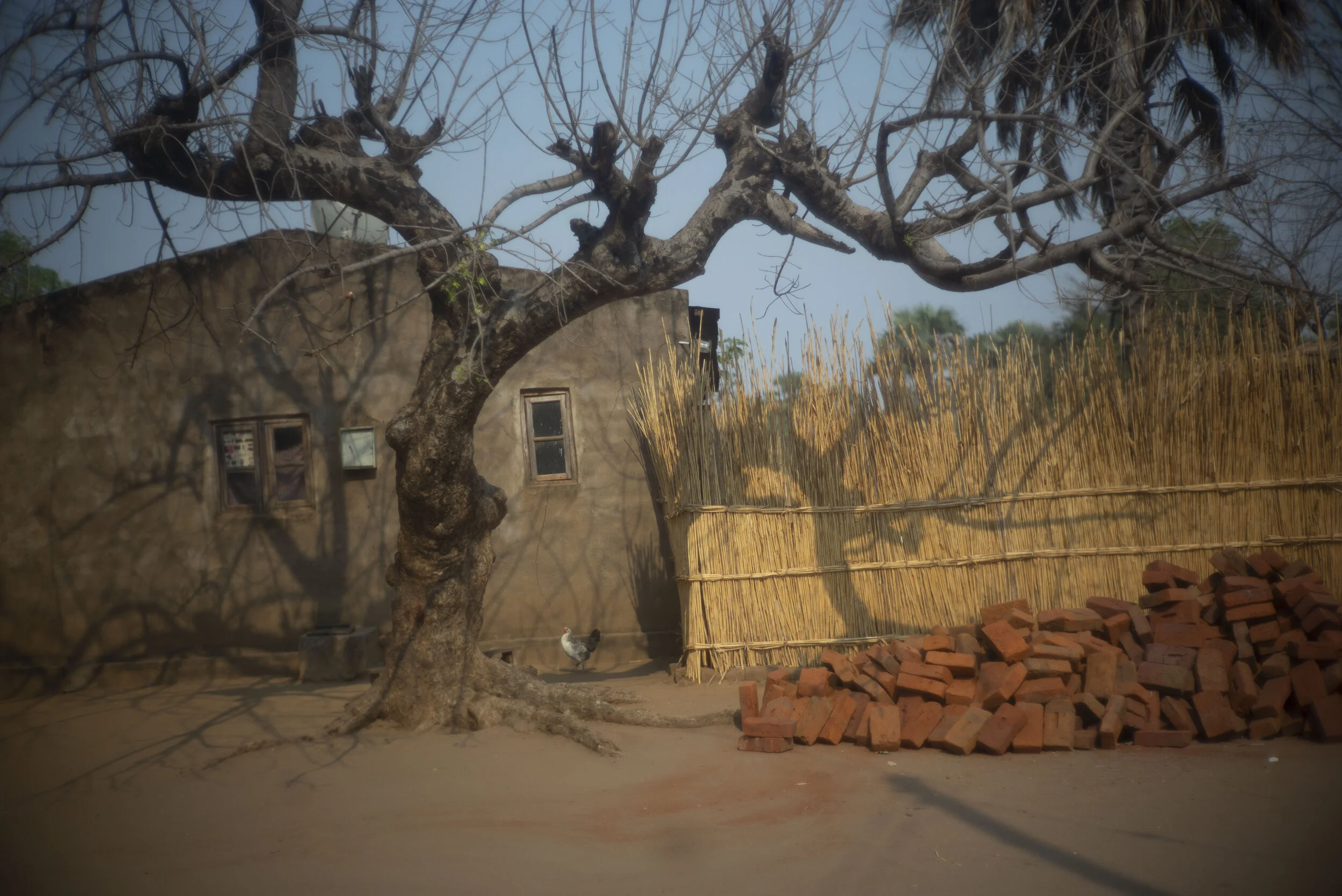 Potientielle prints til salg_1.jpg