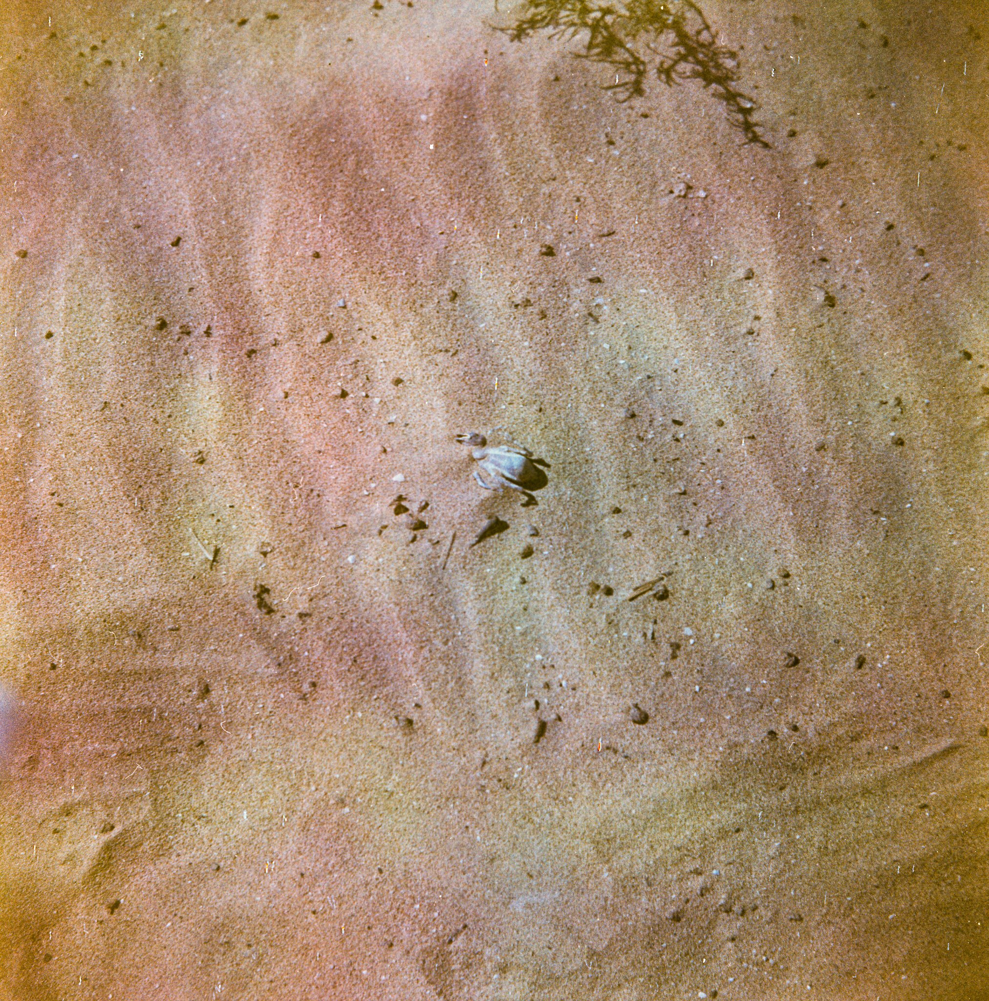 img042-2.jpg