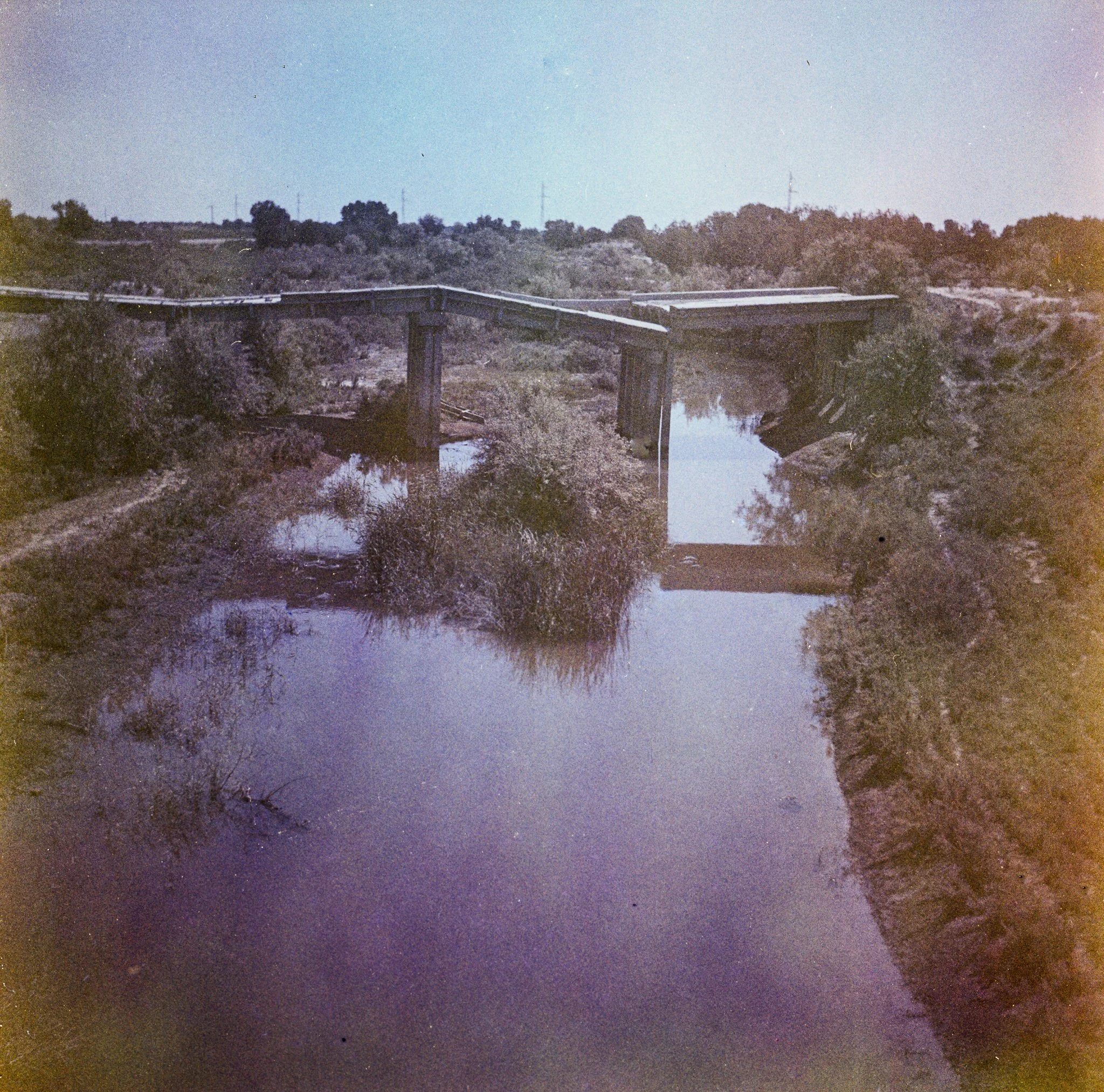 img051-2.jpg