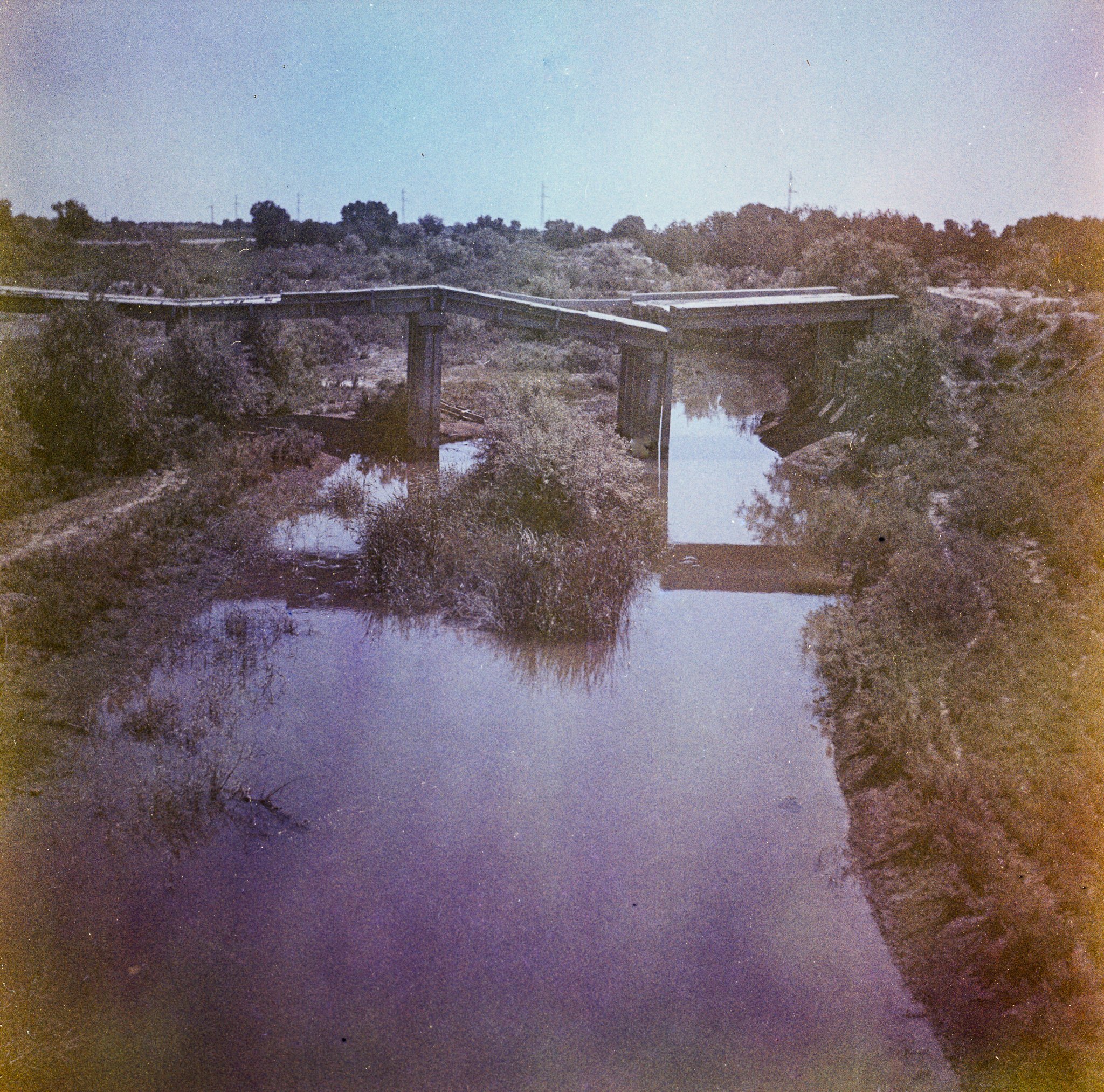 img051-2.jpg