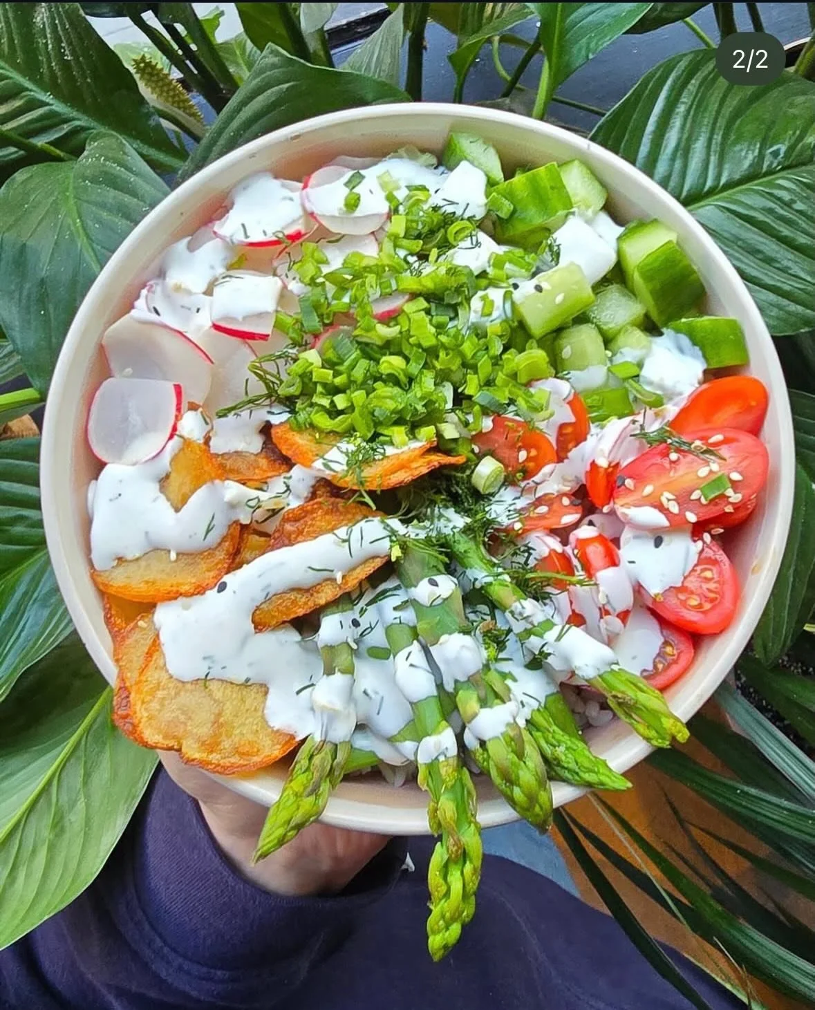 Wiosna is here! 👋🏻🌷
Czas na zmianę naszej sezonowej miski 👀

Tym razem powraca nasza i Wasza ulubiona:

MISKA WIOSENNA
Sos jogurtowo-koperkowy/ szparagi/ chipsy z ziemniaka/ pomidorki koktajlowe/ rzodkiewka/ og&oacute;rek/ dymka/ sezam 

(Baza do