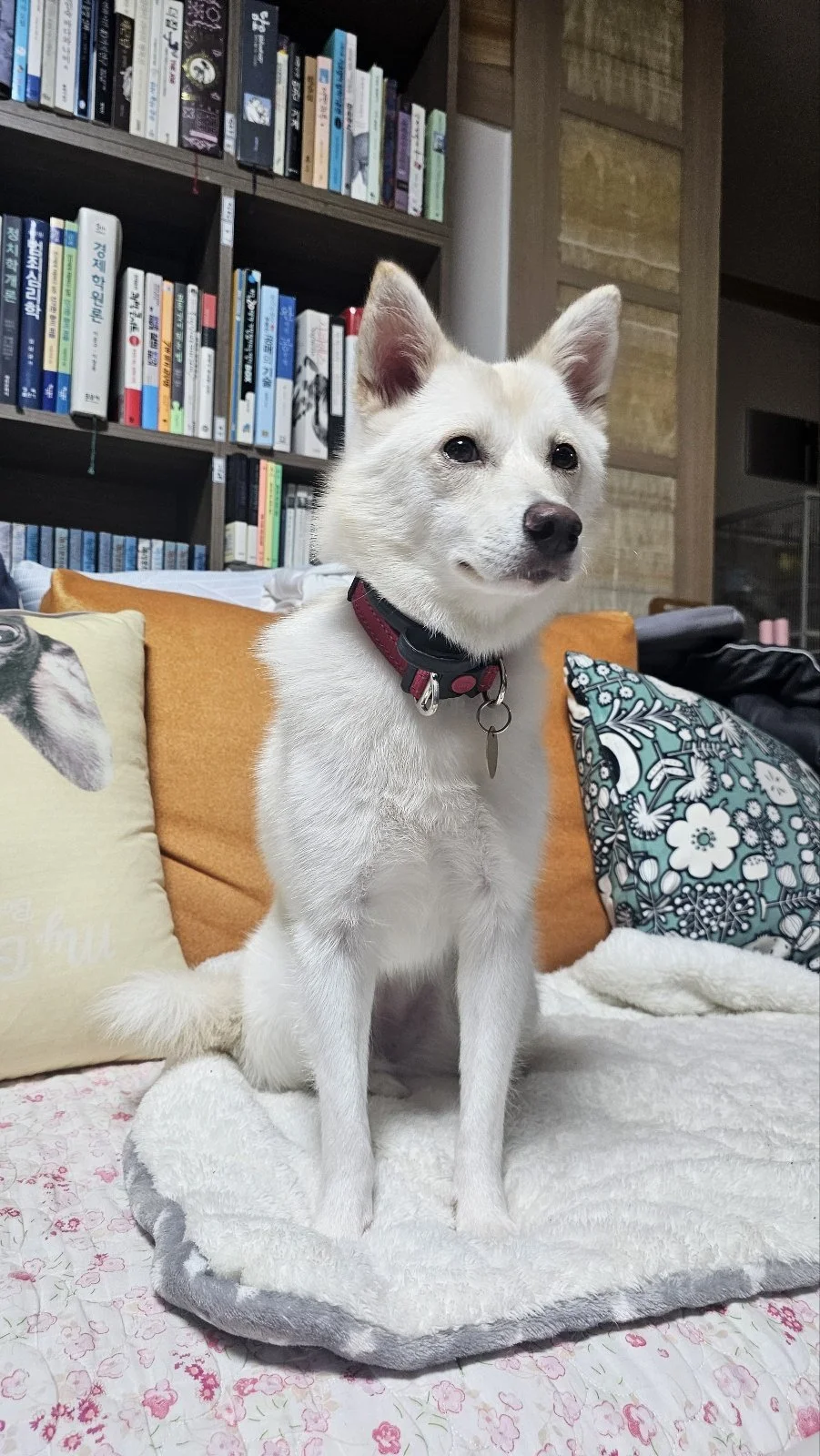 KakaoTalk_20250917_164107058_02.jpg